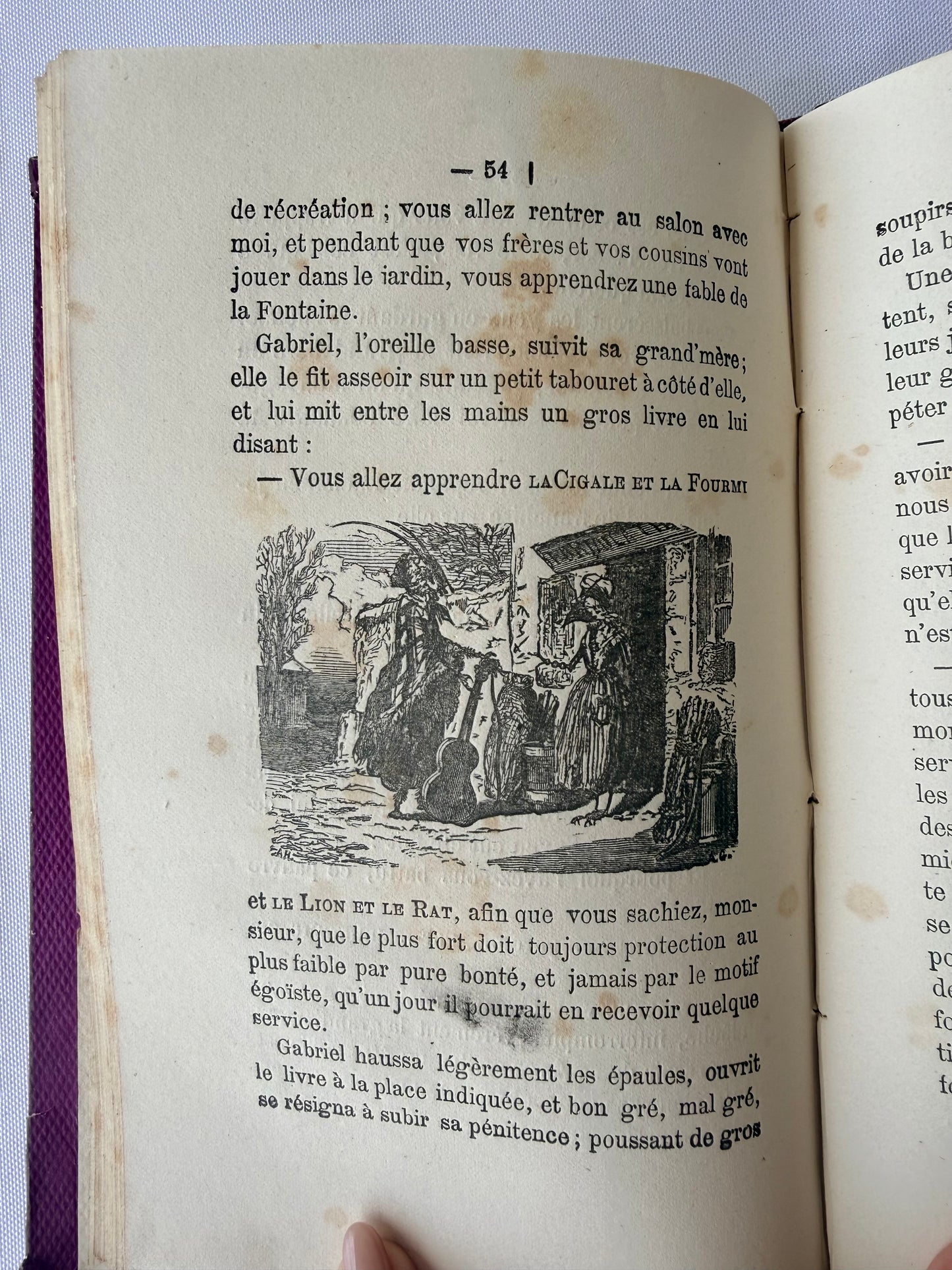 Purple French Cartonnage Book, Les Petits Savants