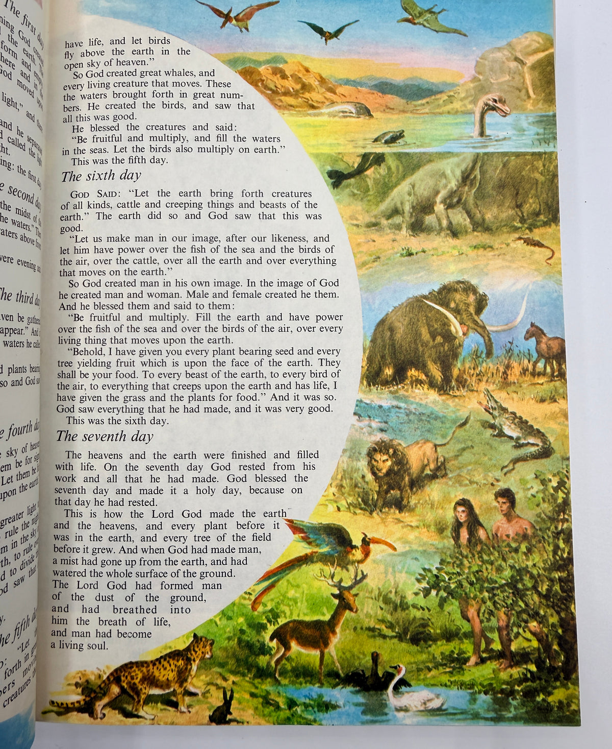 Vintage The Children’s Bible