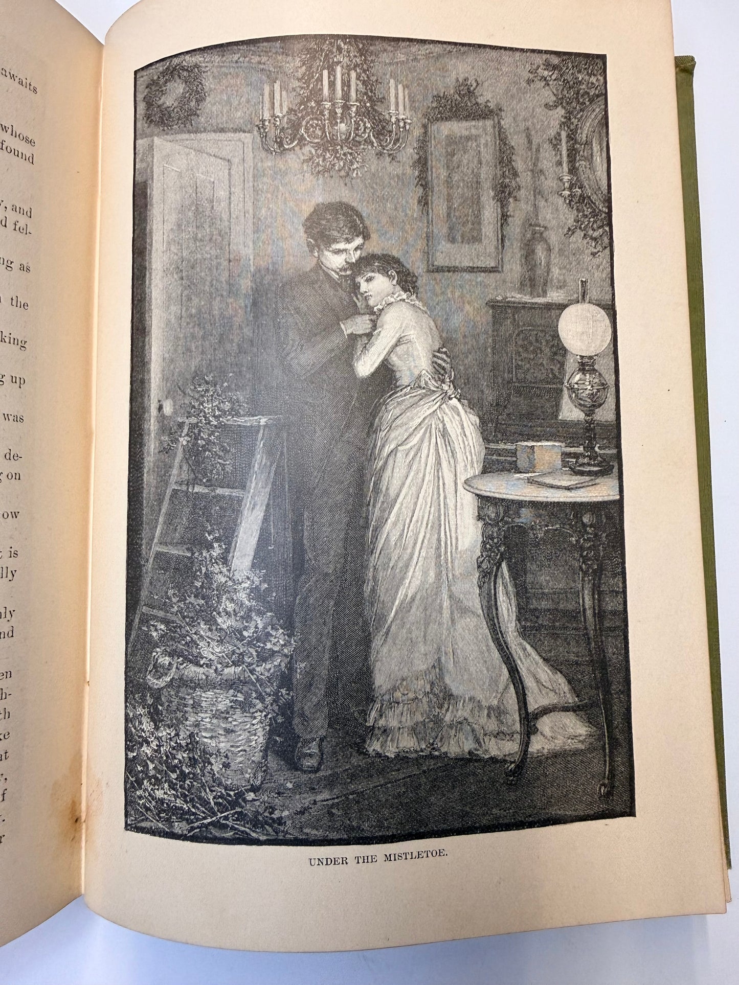 Nature’s Serial Story, 1885