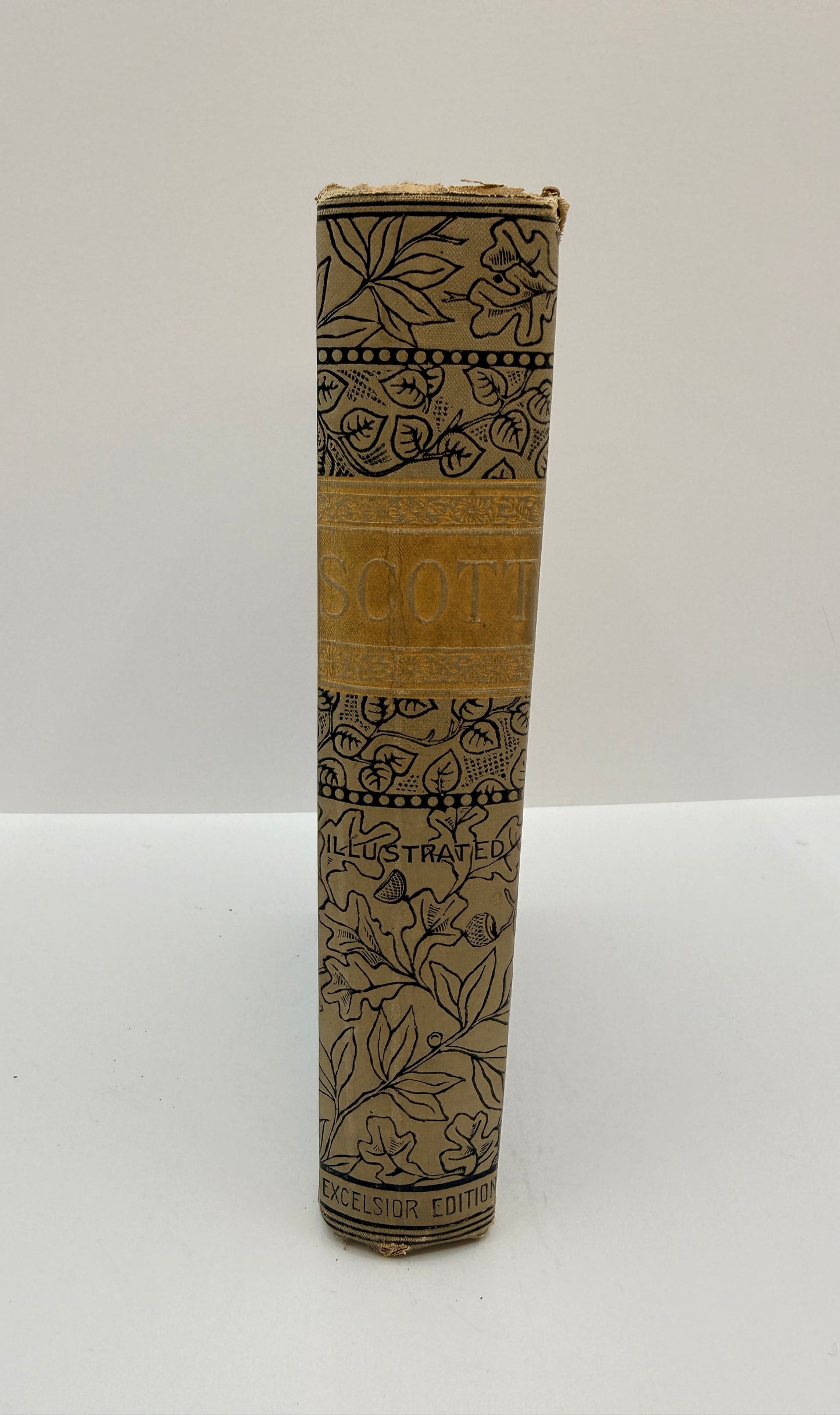 Sir Walter Scott’s Poetical Works, Lady of the Lake