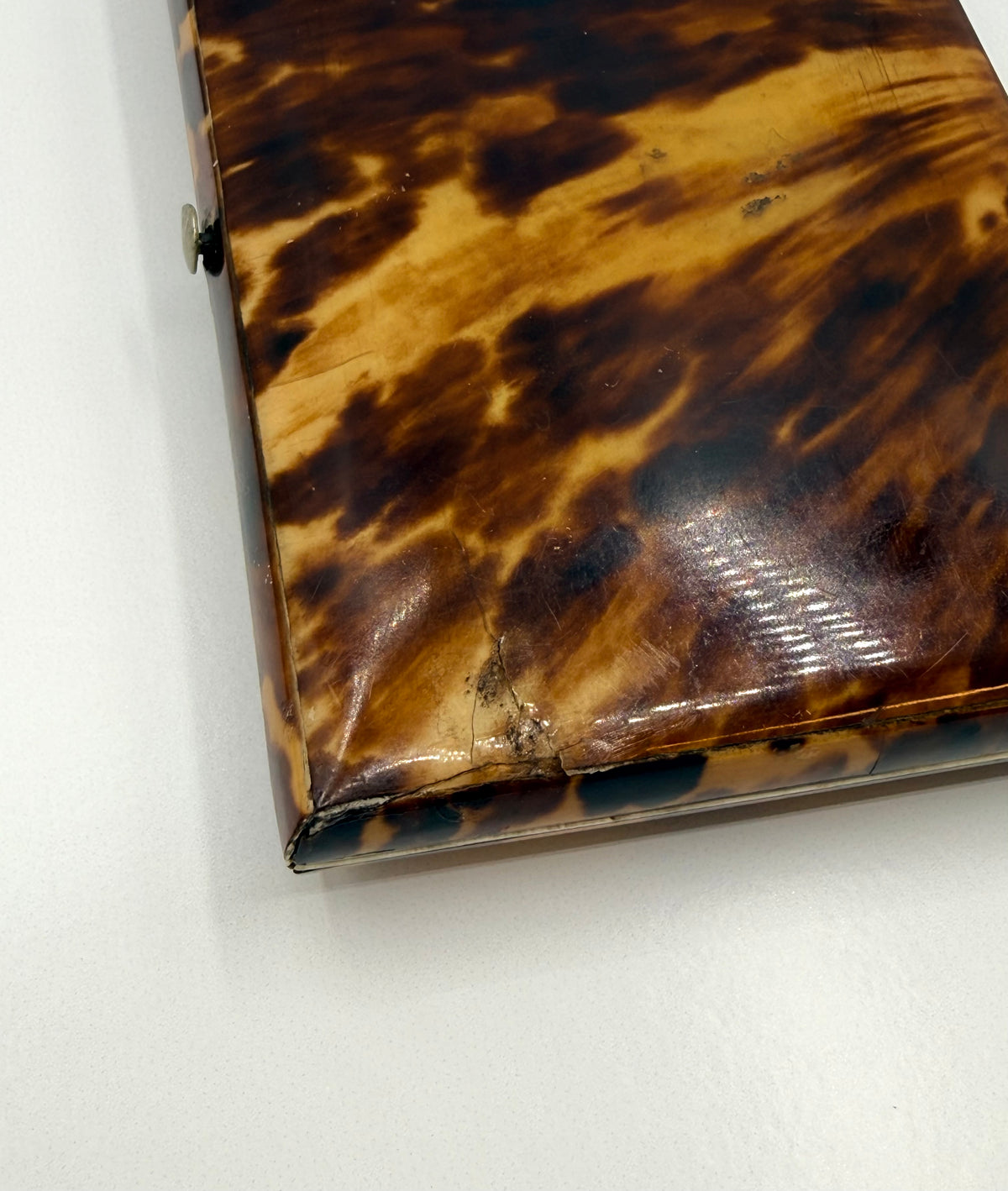 Victorian Tortoise Shell Style Card Holder Clasp