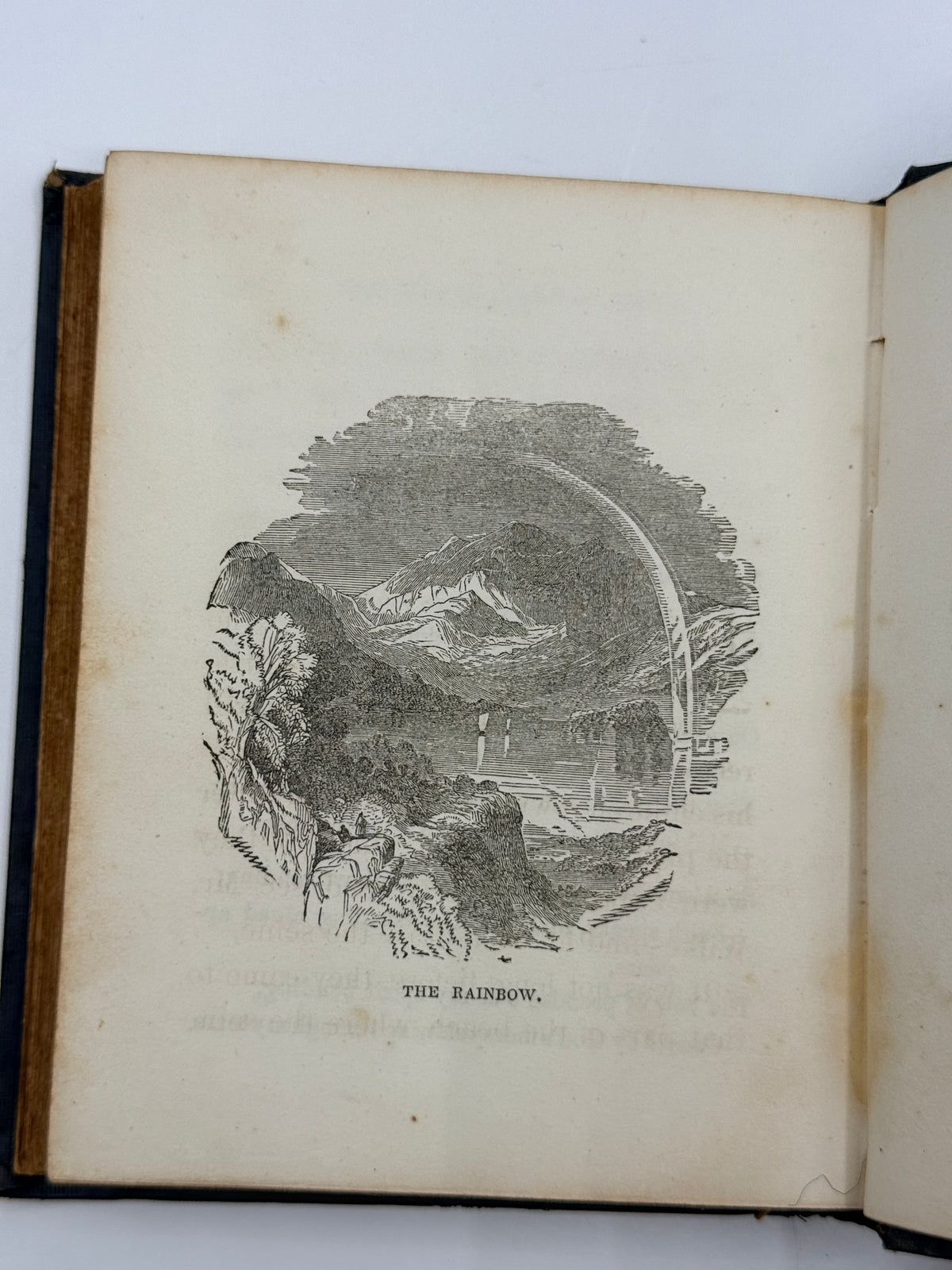Silver Lake Stories: The Cornucopia by Cousin Cicely, 1852