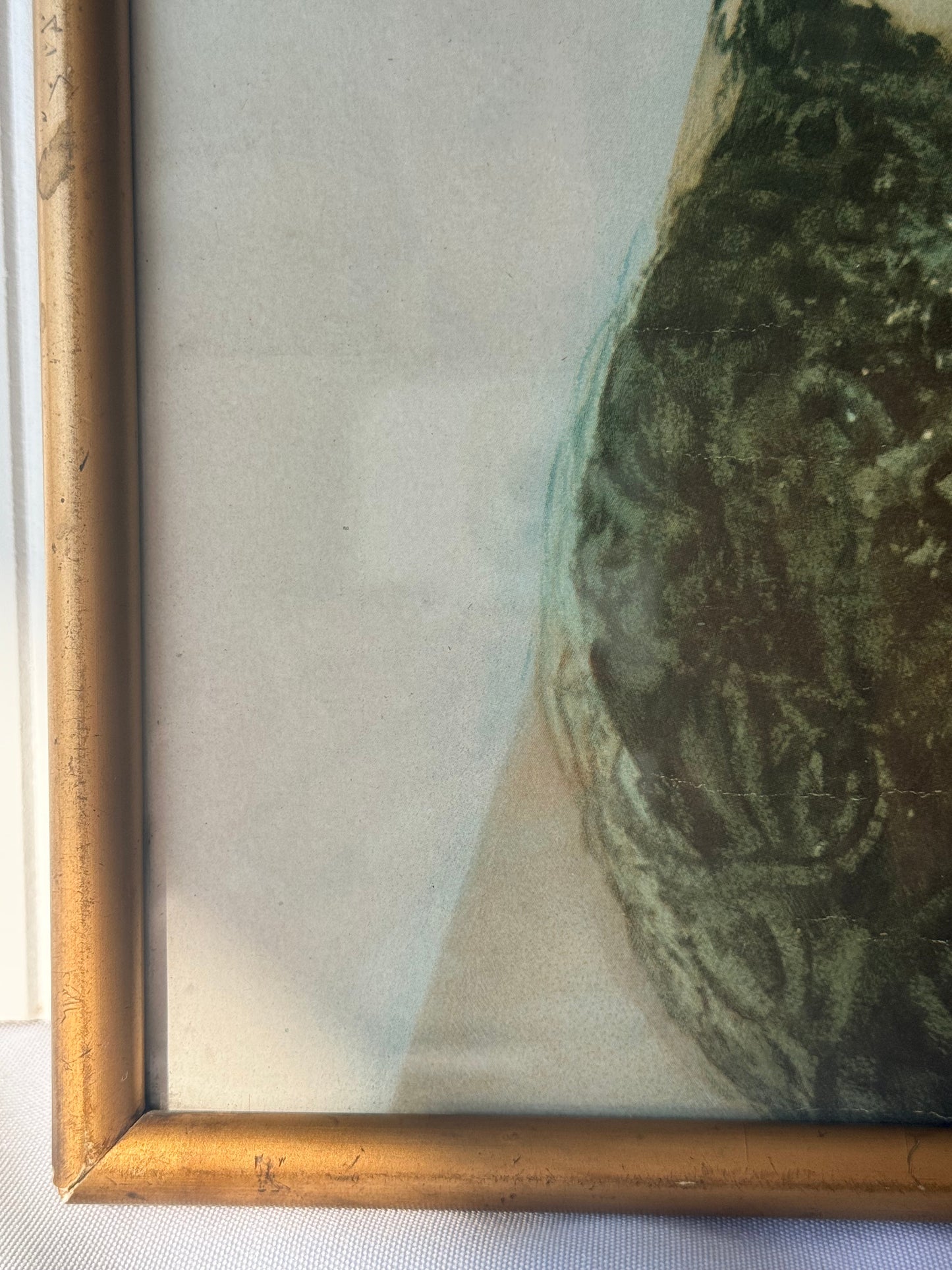Antique Female Framed Portrait, 17”, 1910