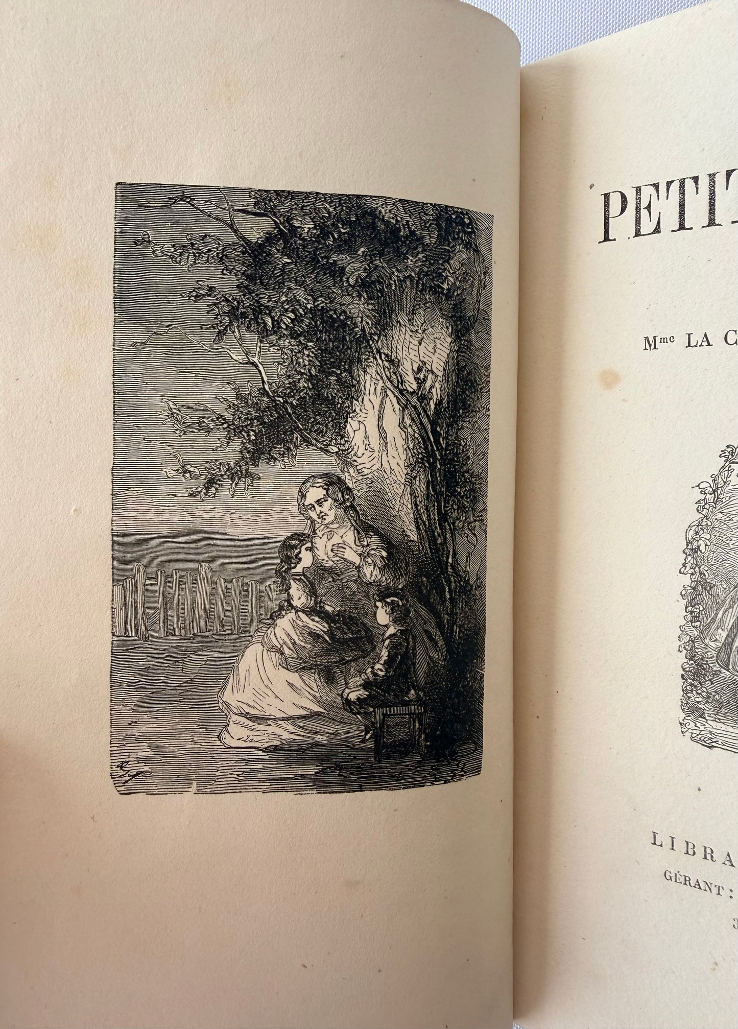 Purple French Cartonnage Book, Les Petits Savants