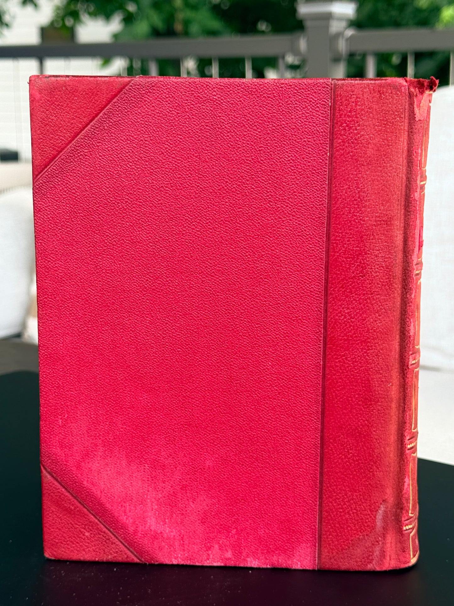 Wild Flowers as They Grow, Vol VII