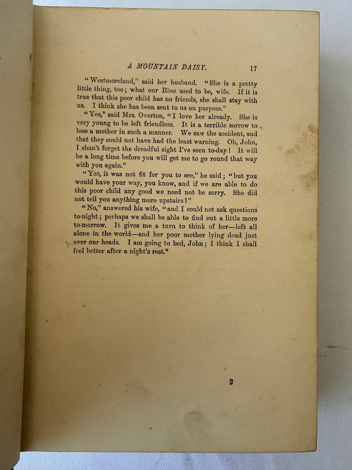 A Mountain Daisy, Decorative Antique Book DSM Vintage