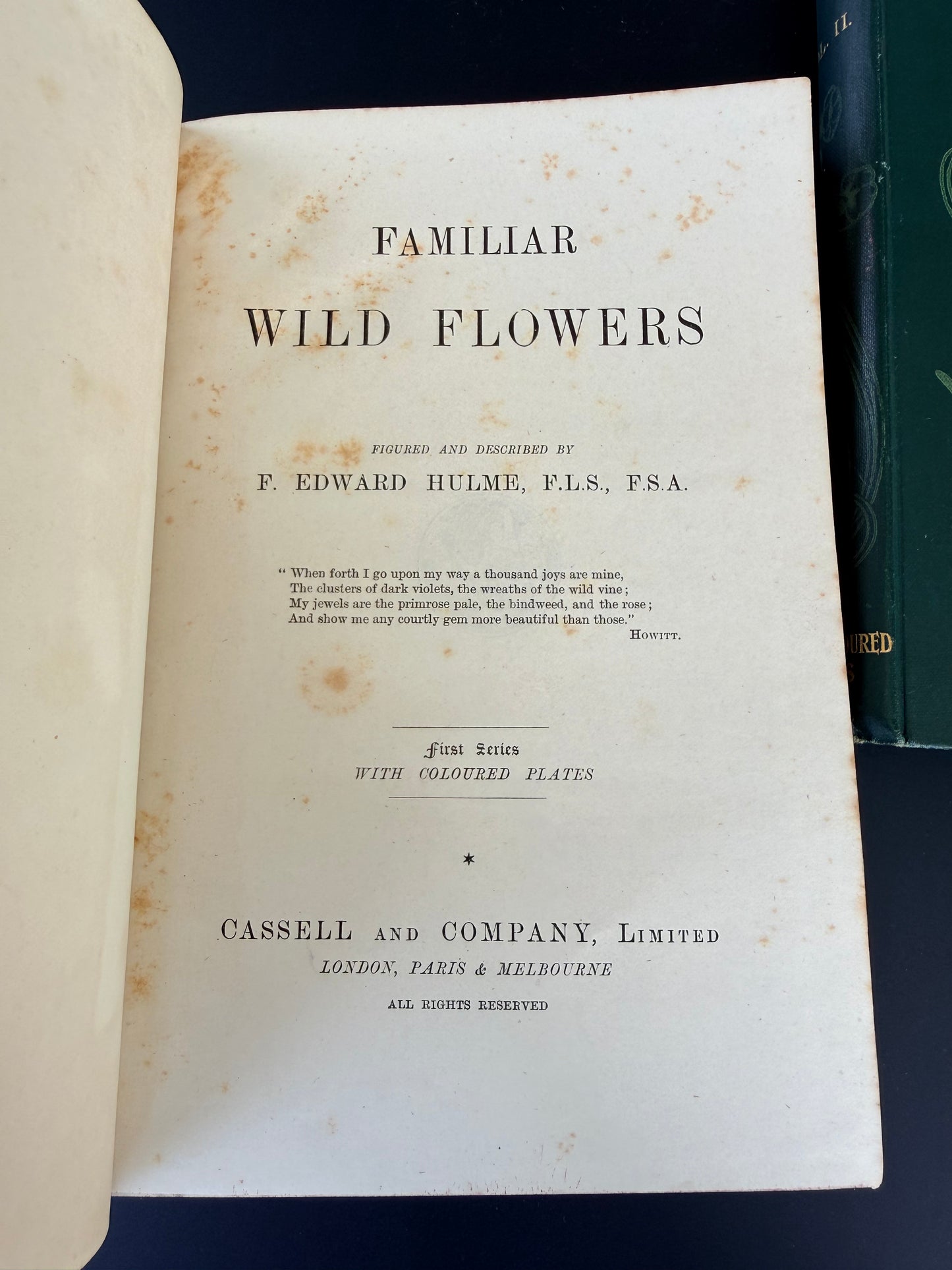 Familiar Wild Flowers, F Edward Hulme