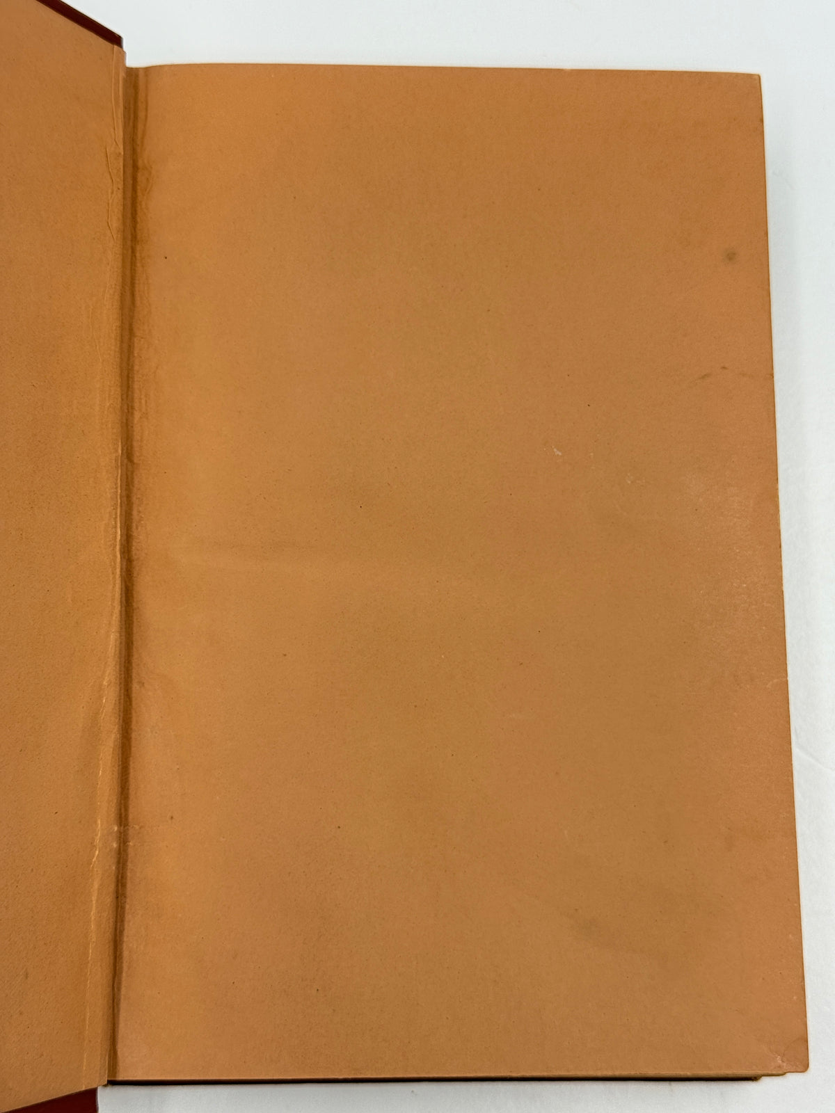 Homer’s Iliad, Alexander Pope Edition