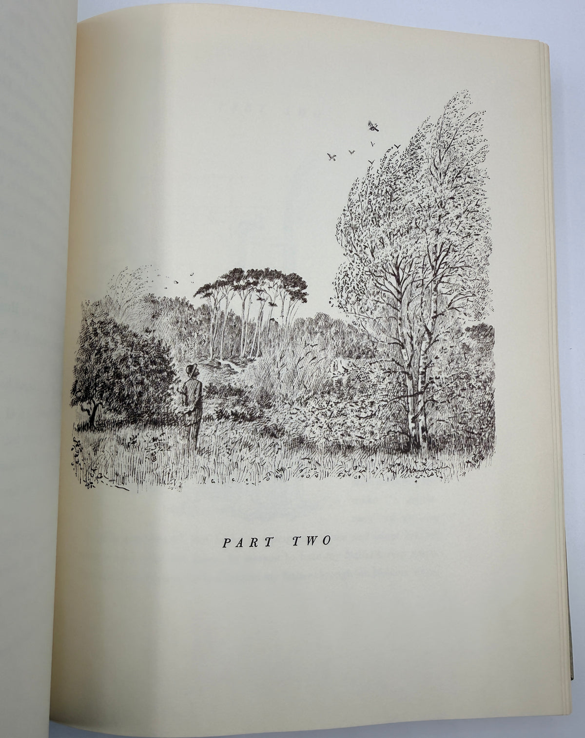 Peter Ibbetson by George du Maurier, 1963
