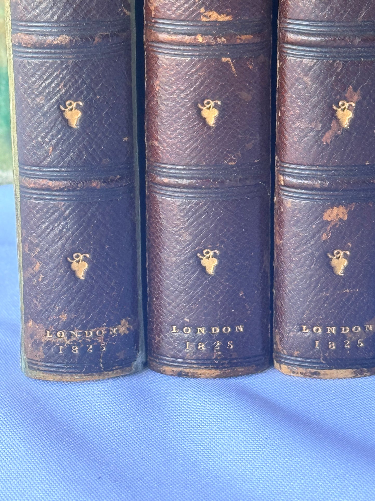 The Faerie Queen & Others, Edmund Spenser’s Works, 1825