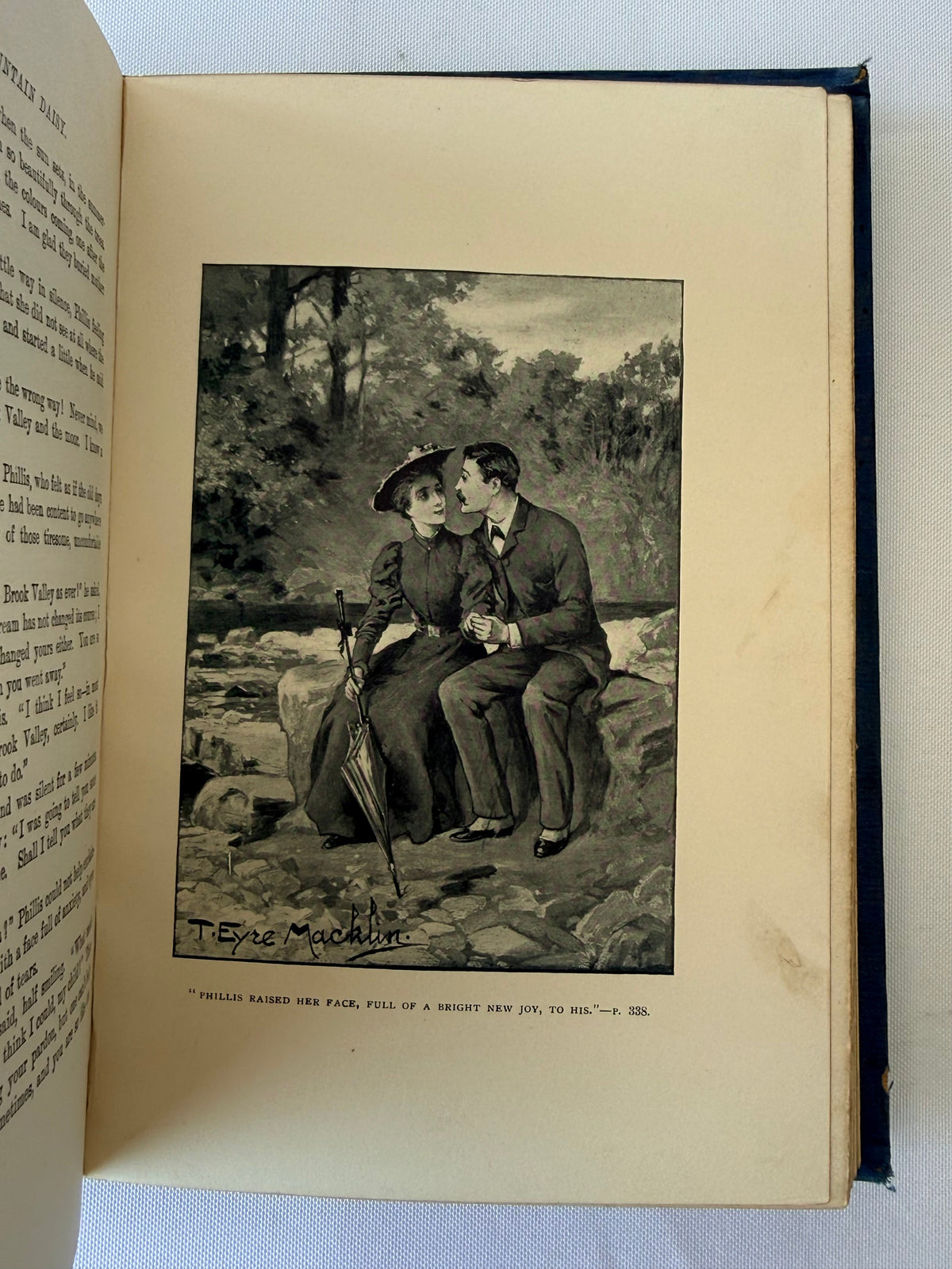 A Mountain Daisy, Decorative Antique Book DSM Vintage