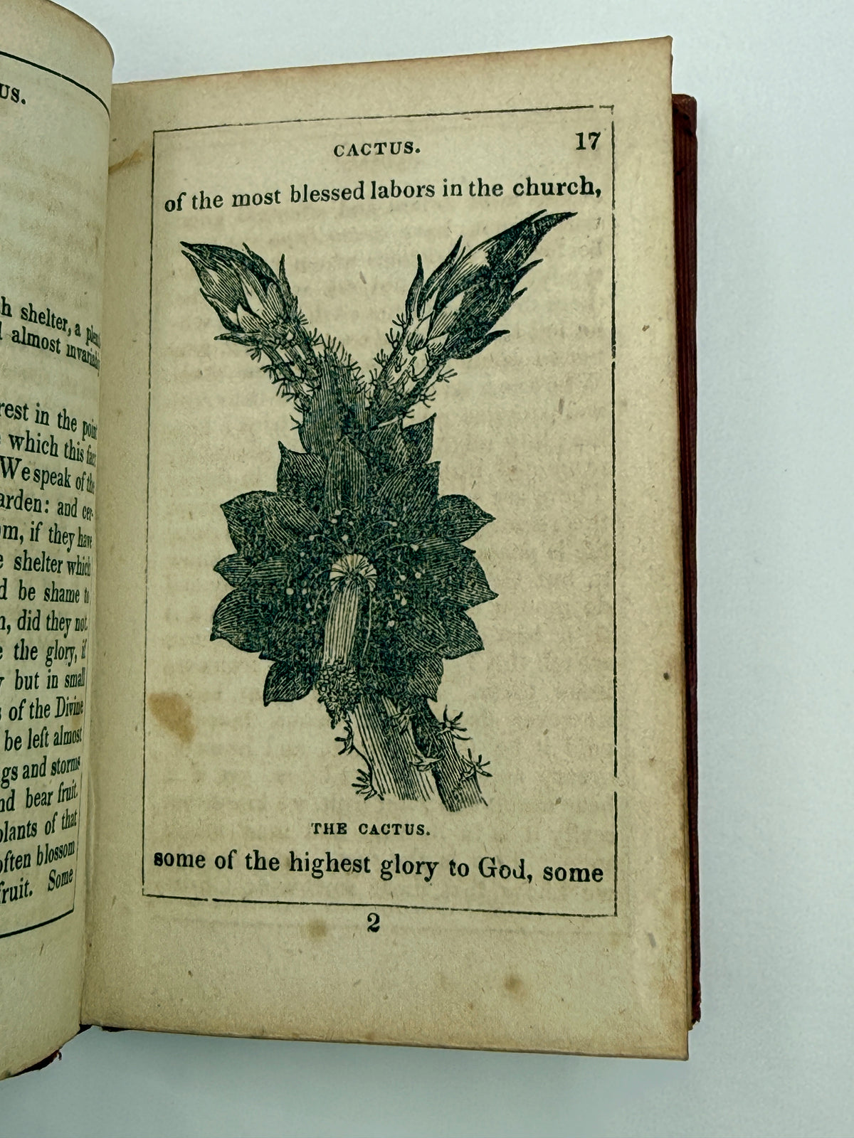 Thoughts Among Flowers, Small Book, 1853