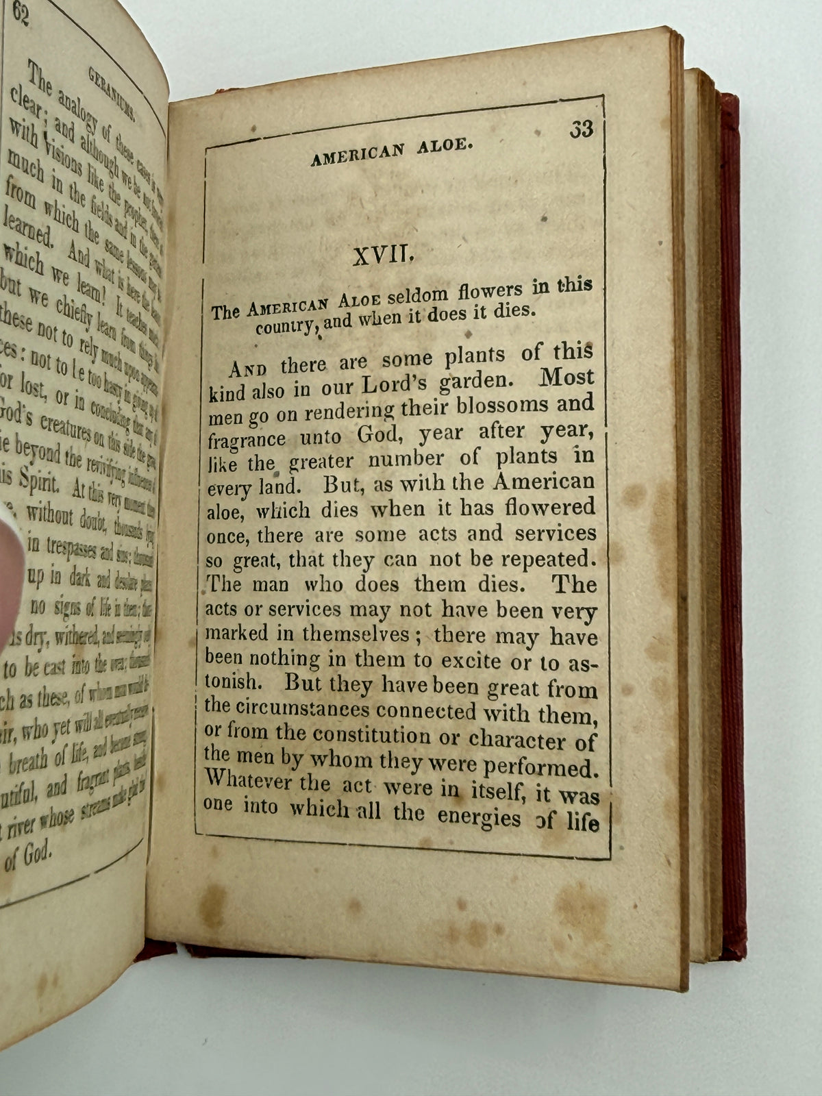 Thoughts Among Flowers, Small Book, 1853