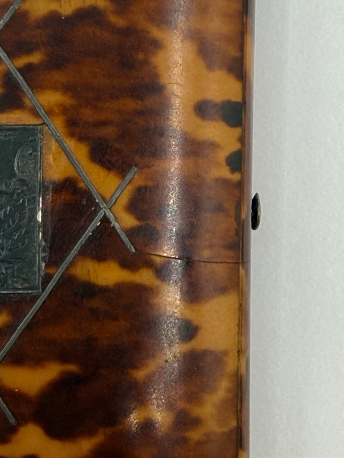 Victorian Tortoise Shell Style Card Holder Clasp
