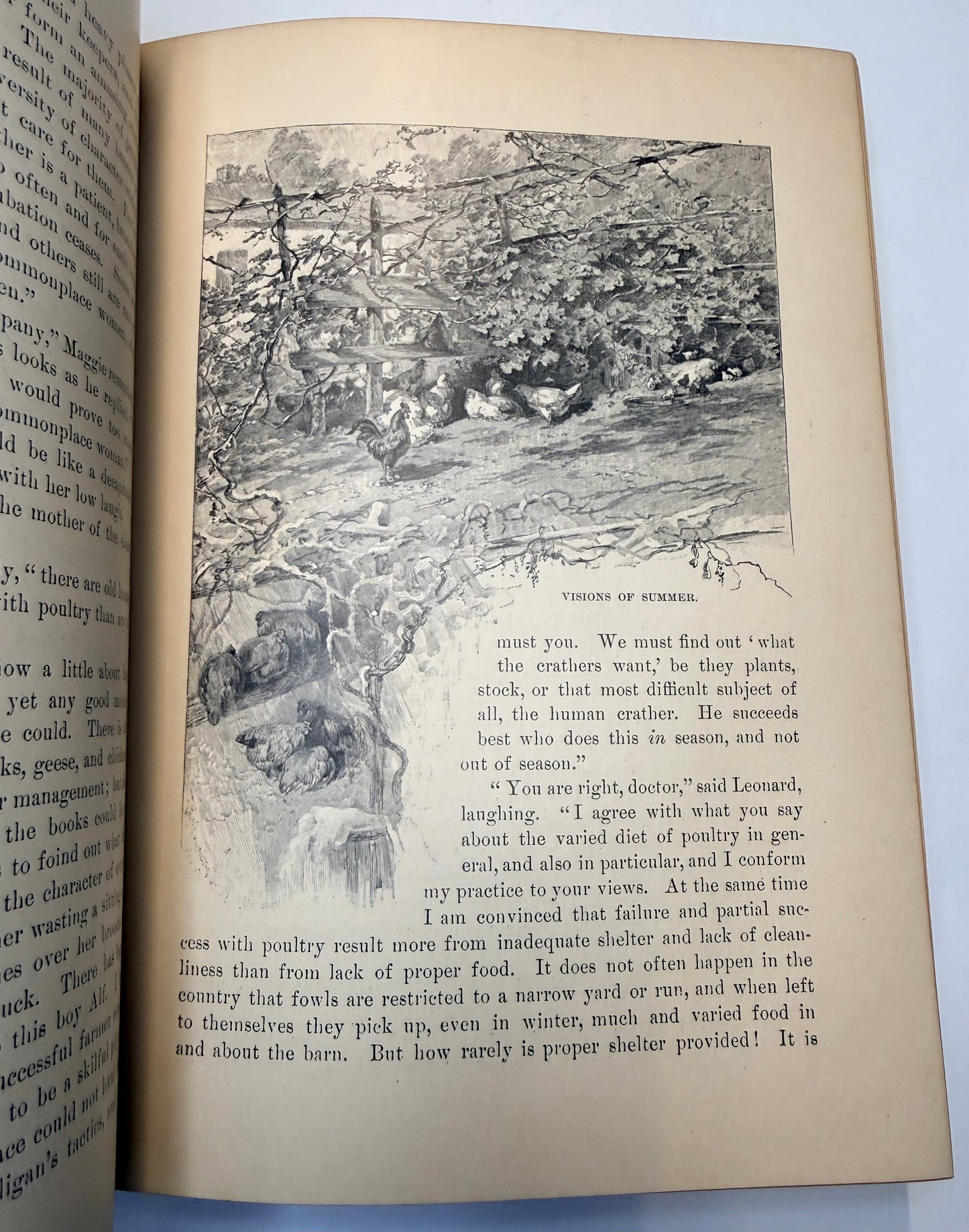 Nature’s Serial Story, 1885