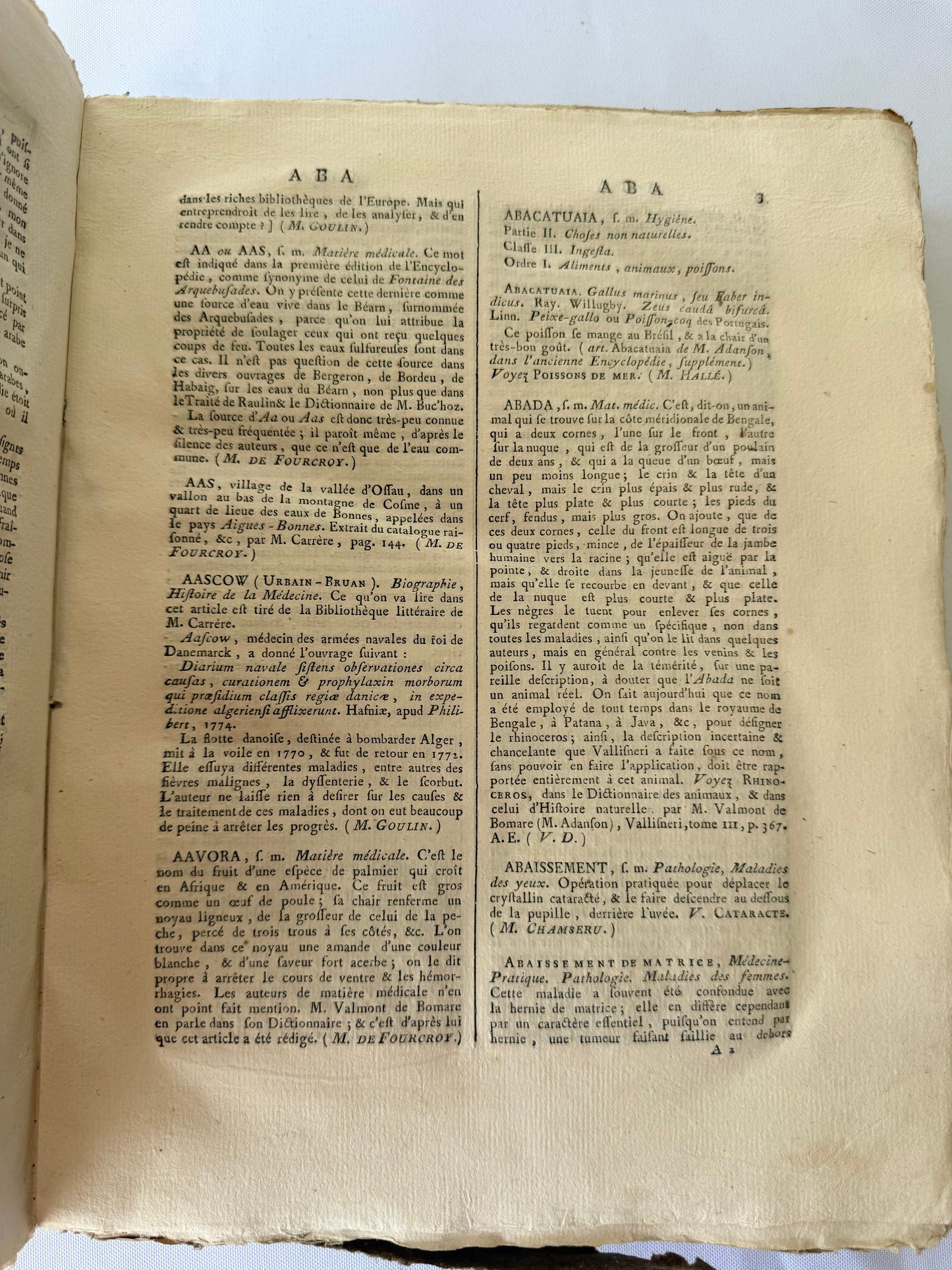 Large French Medical Dictionary Encyclopedia, 1787