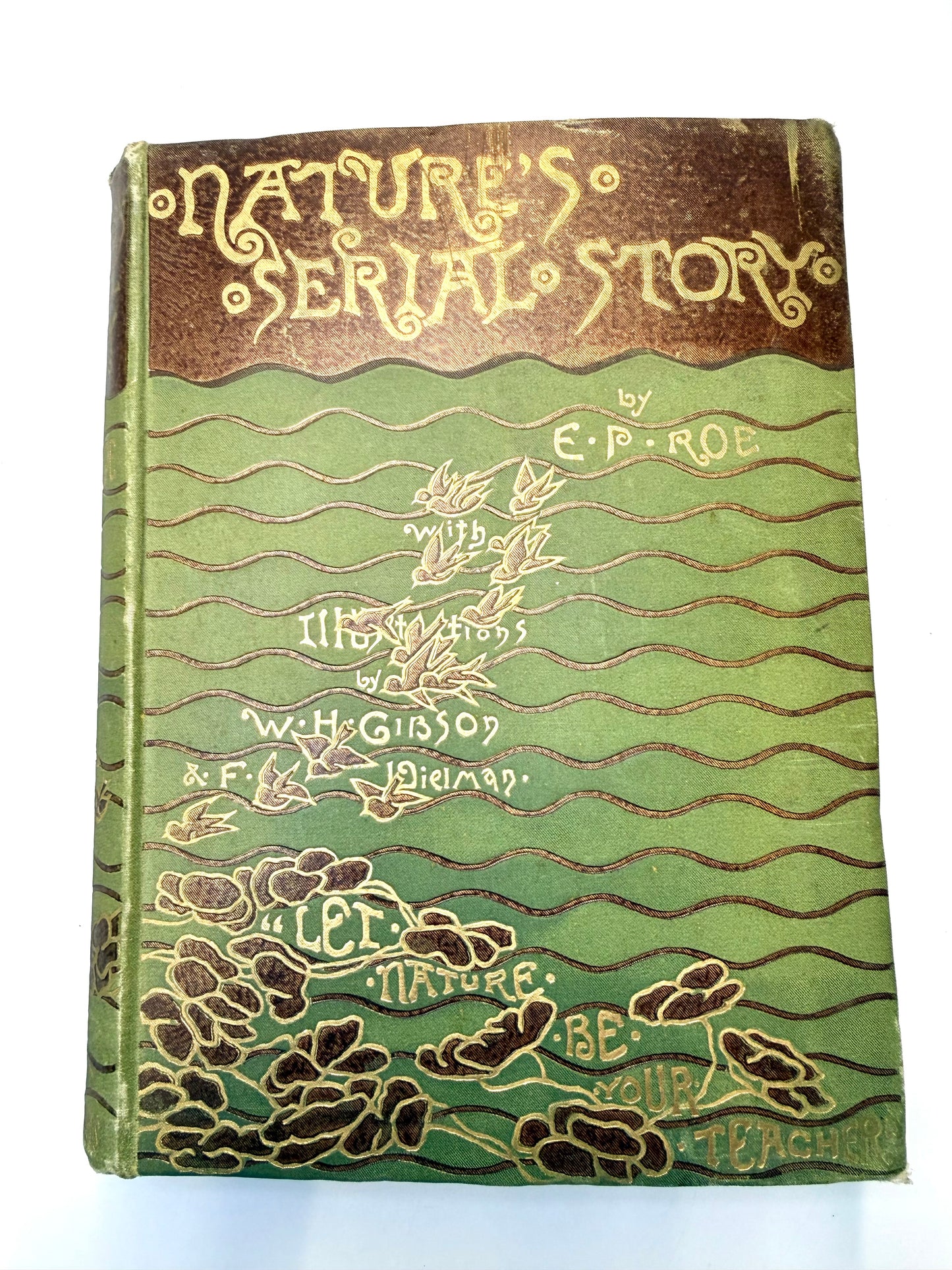 Nature’s Serial Story, 1885