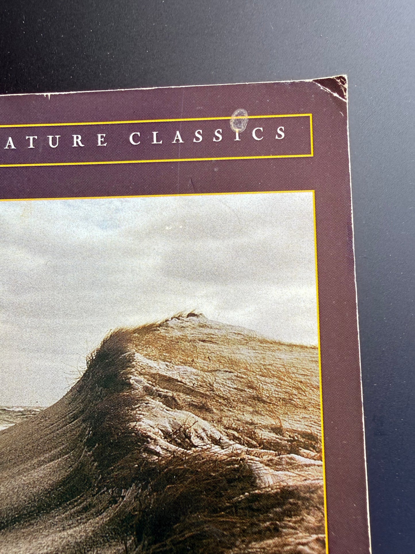 Cape Cod by Henry David Thoreau, 1987