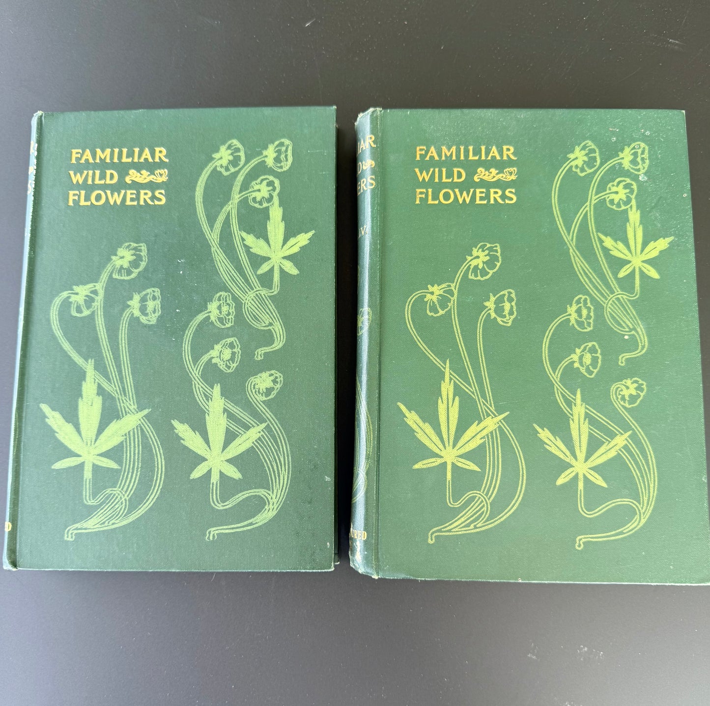 Familiar Wild Flowers, F Edward Hulme