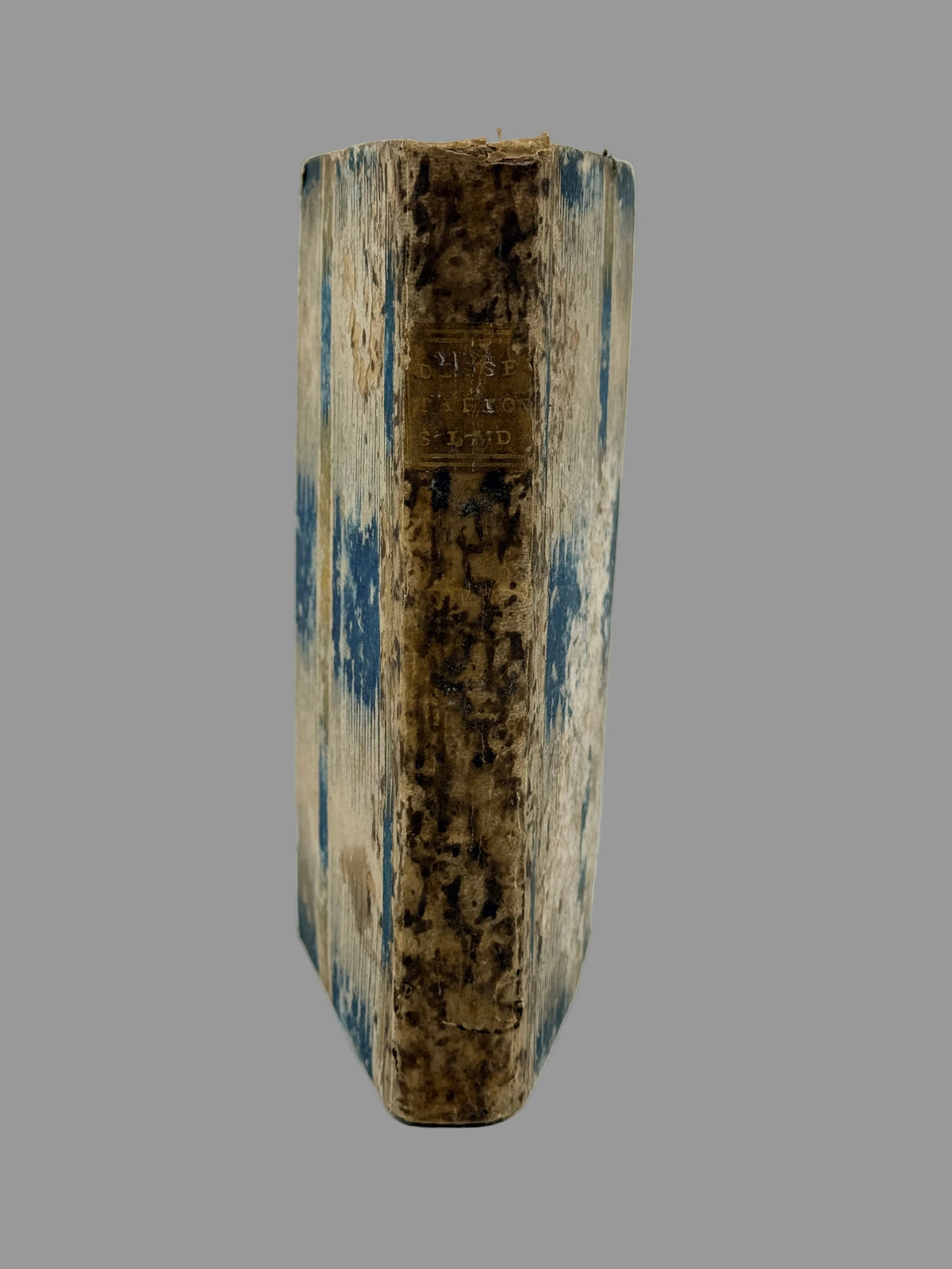 A vintage, heavily worn leather-bound book standing upright, showing a weathered brown spine with blue cloth tooling on the sides and a gold-leaf title block.