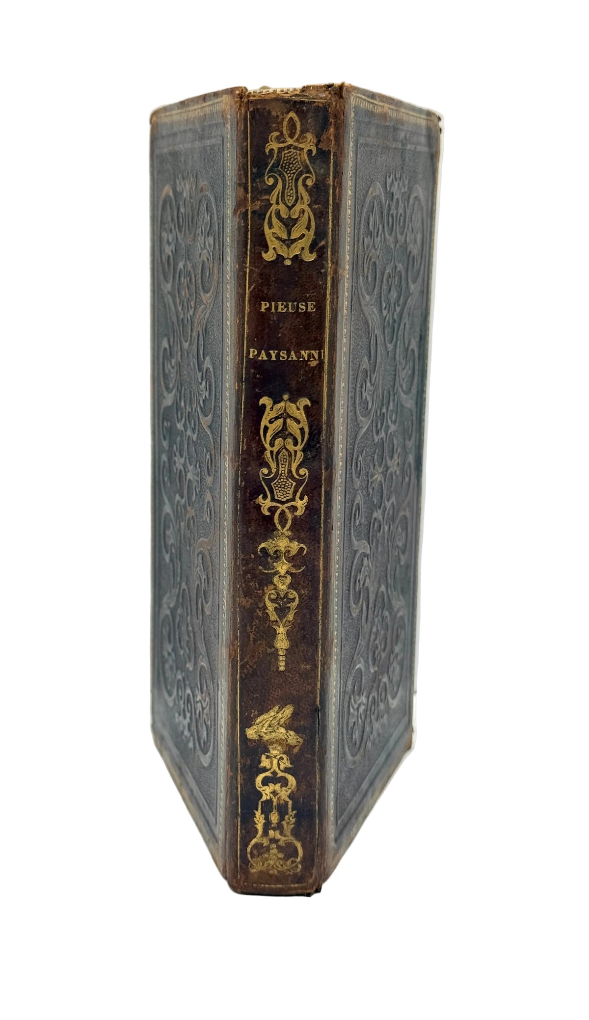 An antique leather-bound book standing upright, showing the spine with ornate gold decorative tooling and the title 'PIERRE PATRIS' printed in gold on a dark brown leather cover with blue-gray floral embossing.
