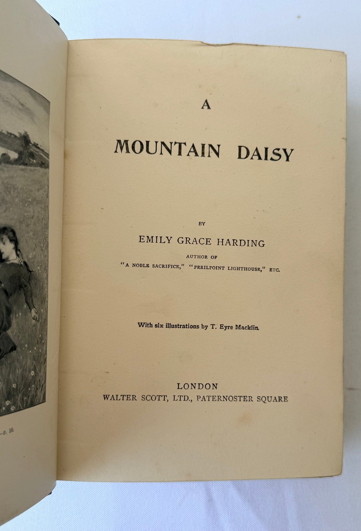A Mountain Daisy, Decorative Antique Book DSM Vintage
