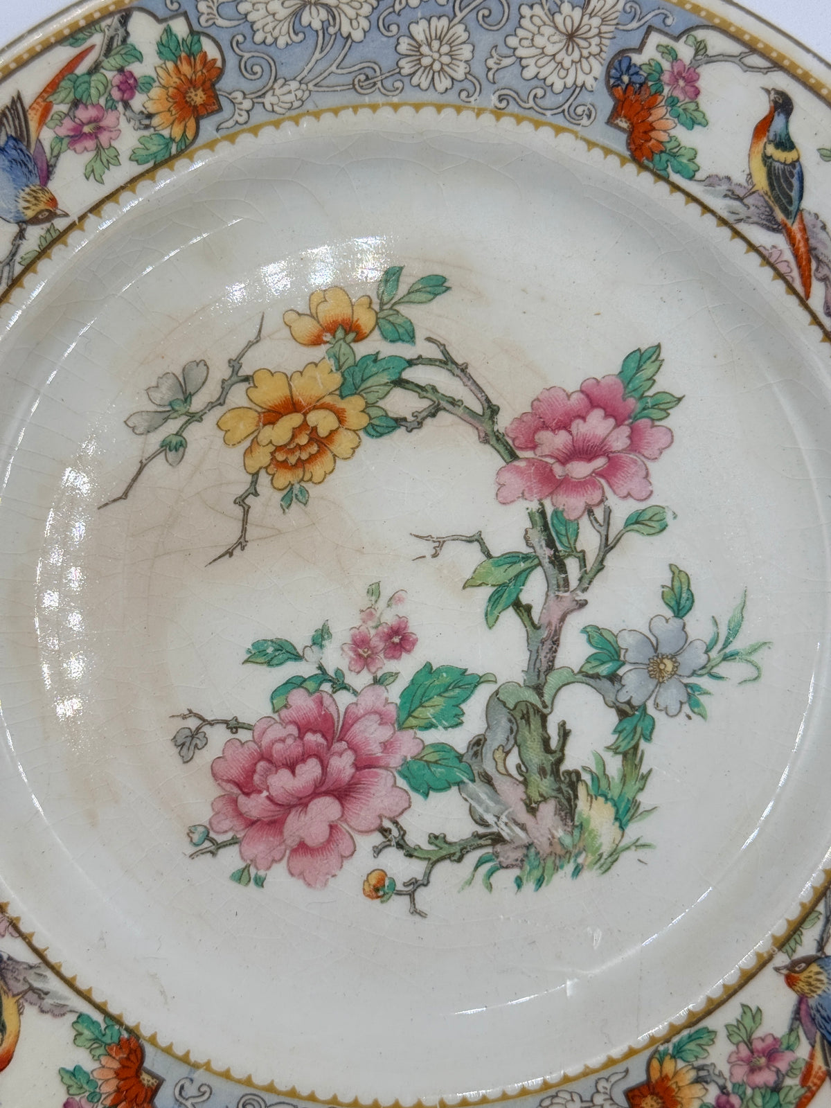 Johnson Brothers The Vigo Salad Plate, 7”