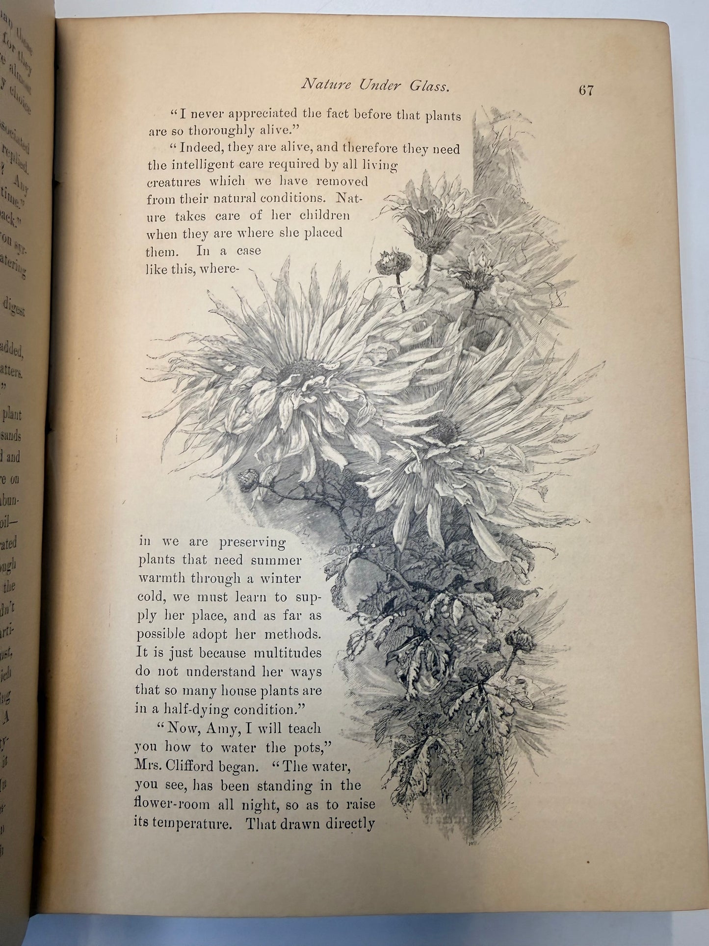 Nature’s Serial Story, 1885