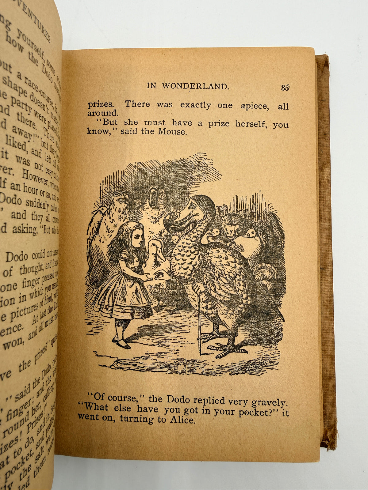 Alice’s Adventures in Wonderland by Lewis Carroll, ~1900