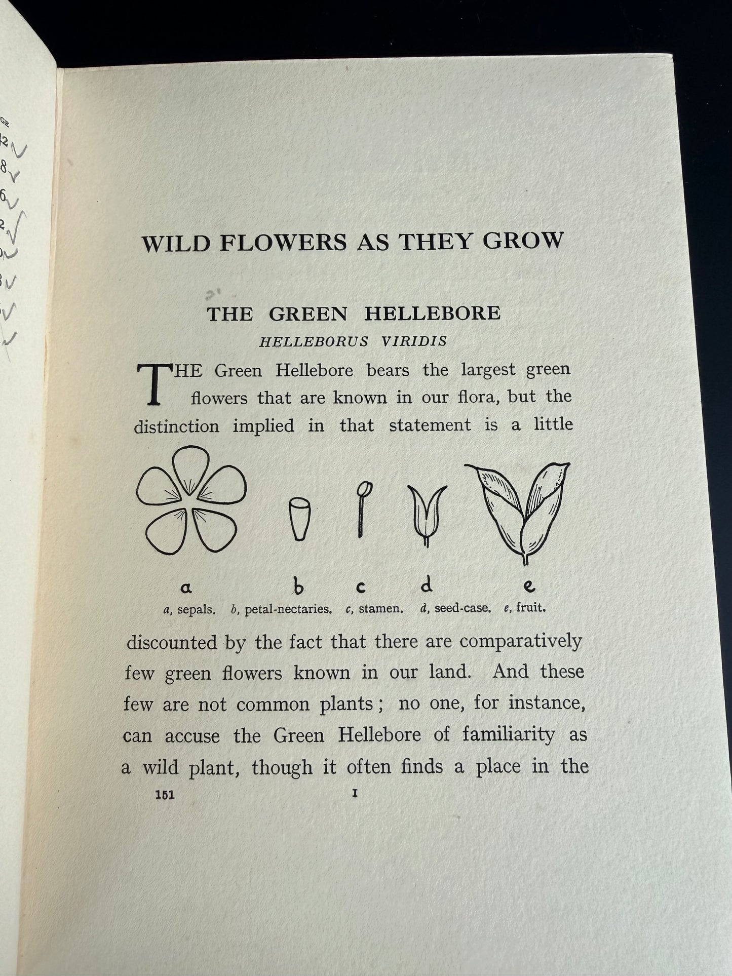 Wild Flowers as They Grow, Vol VII