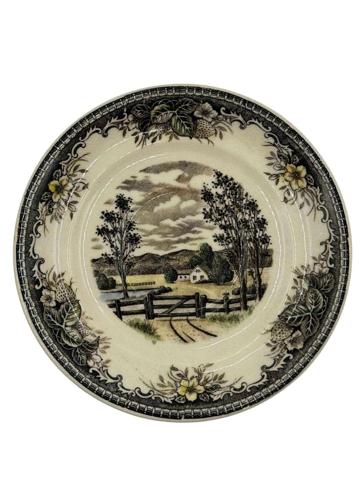 A vintage ceramic plate featuring a detailed landscape illustration in the center and a decorative border with floral motifs and a black geometric pattern.