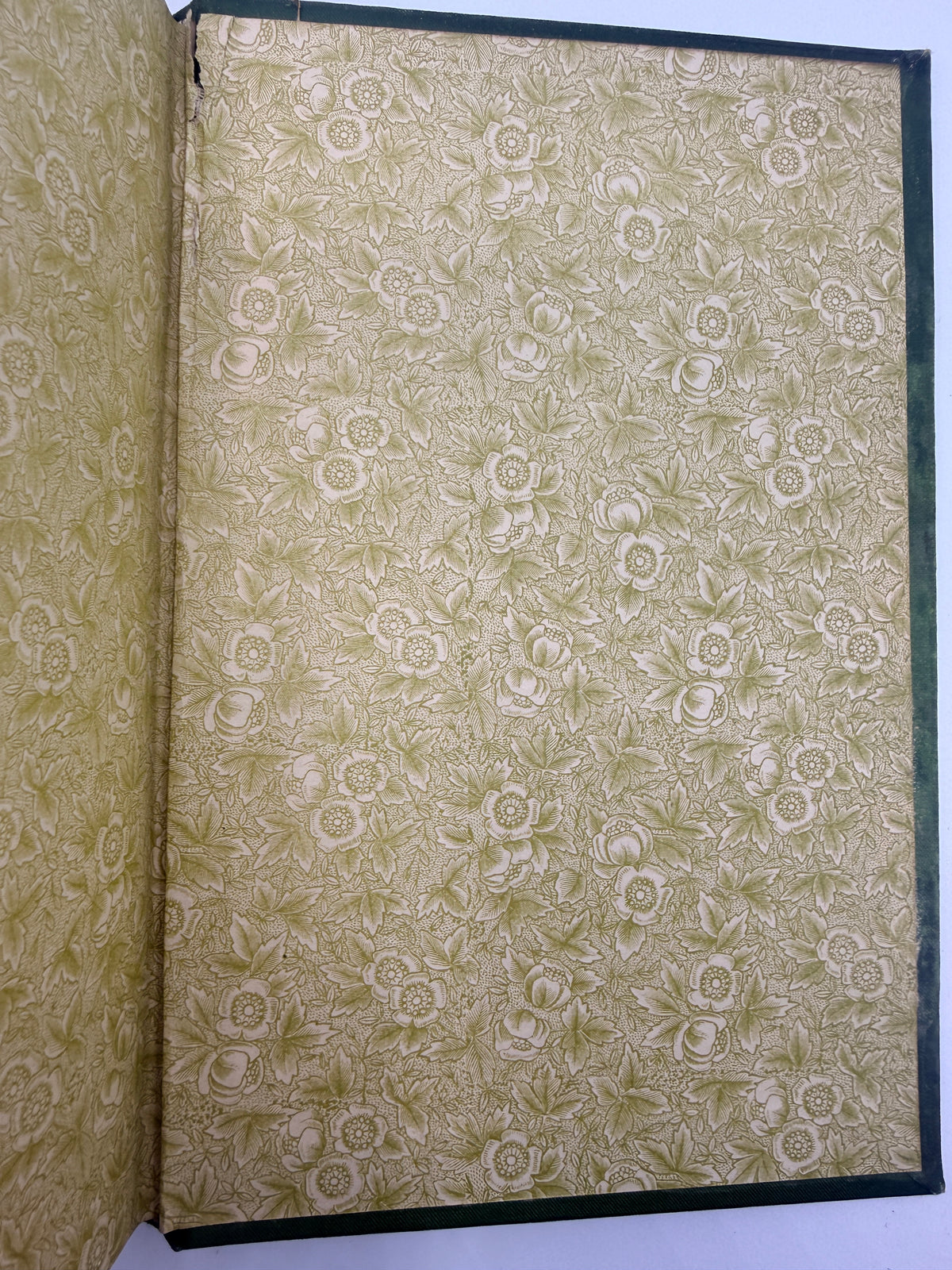 George Eliot, The Mill on the Floss, 1885