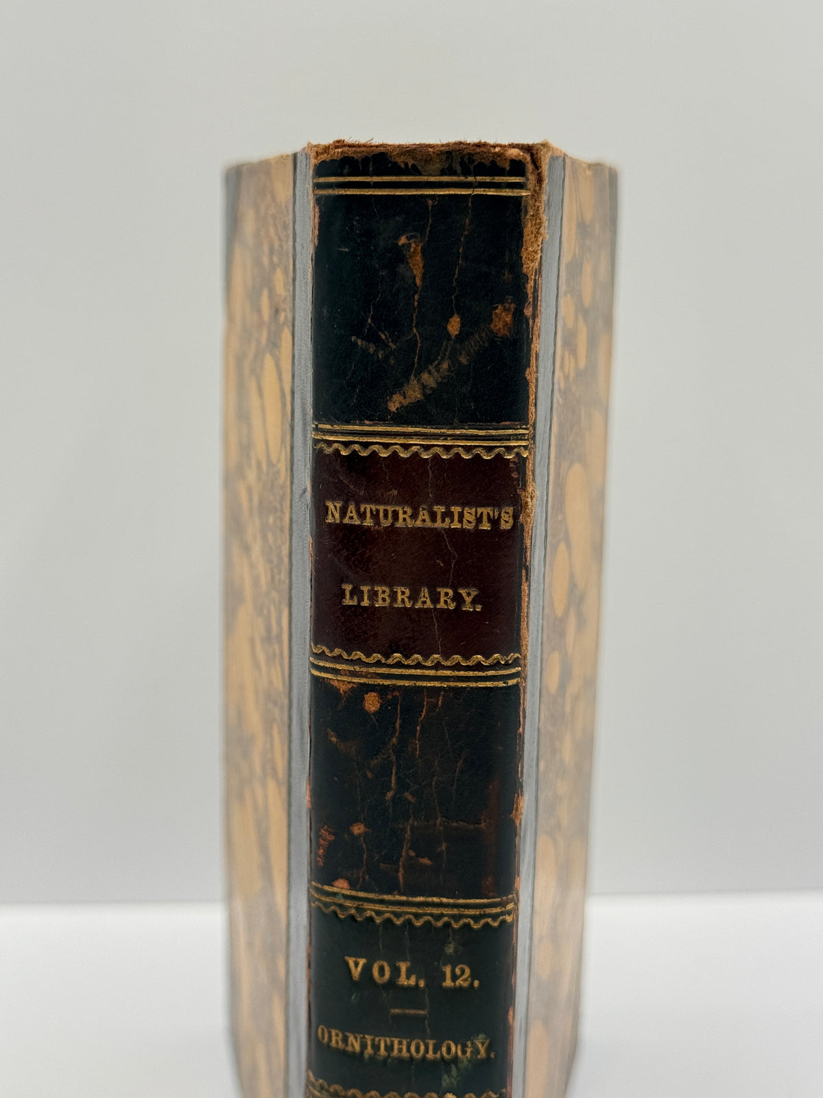Ornithology: The Naturalist’s Library by Sir William Jardine, Vol 12, Birds of Western Africa