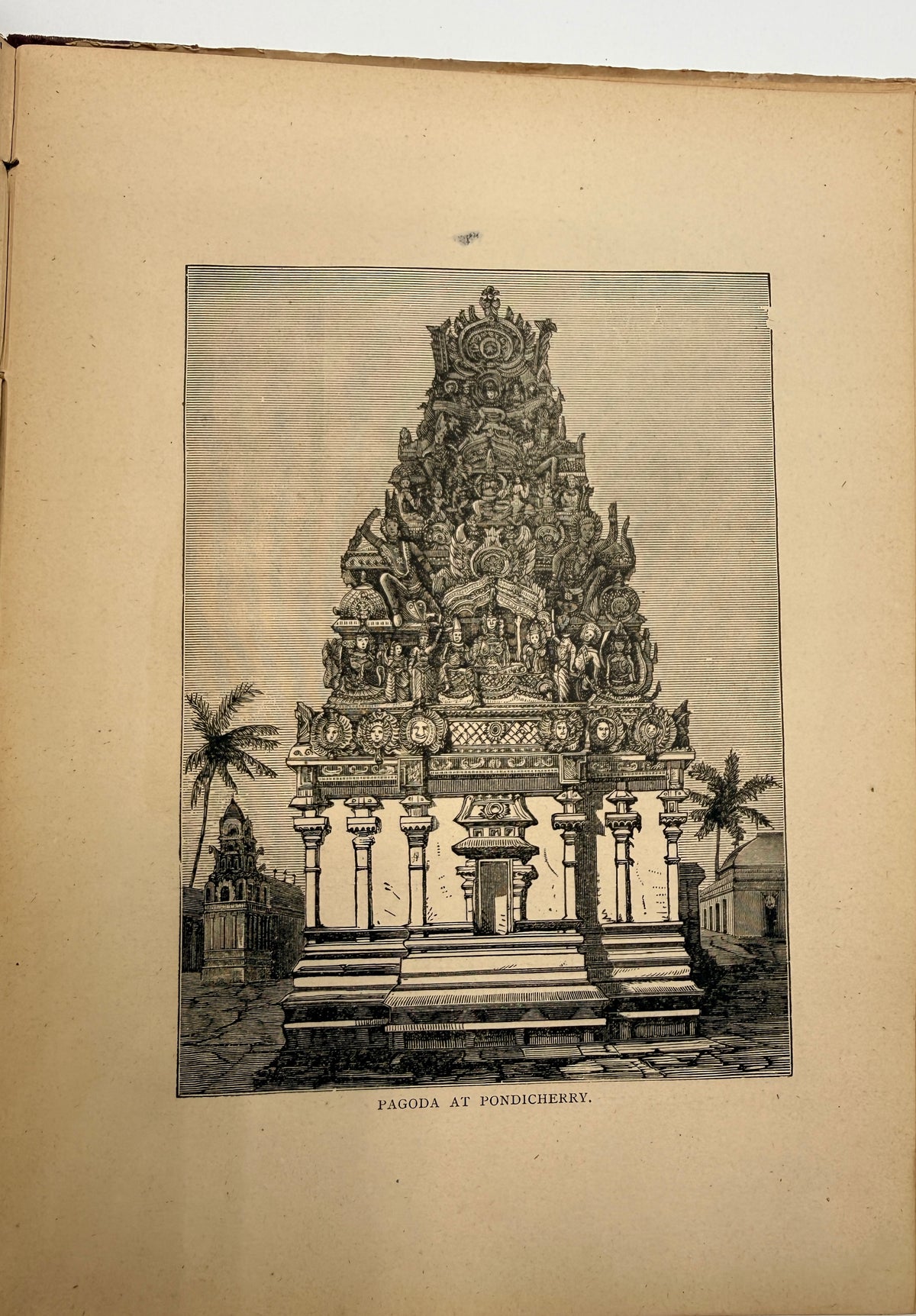 Young Folks Travels: Asia & Africa, 1888