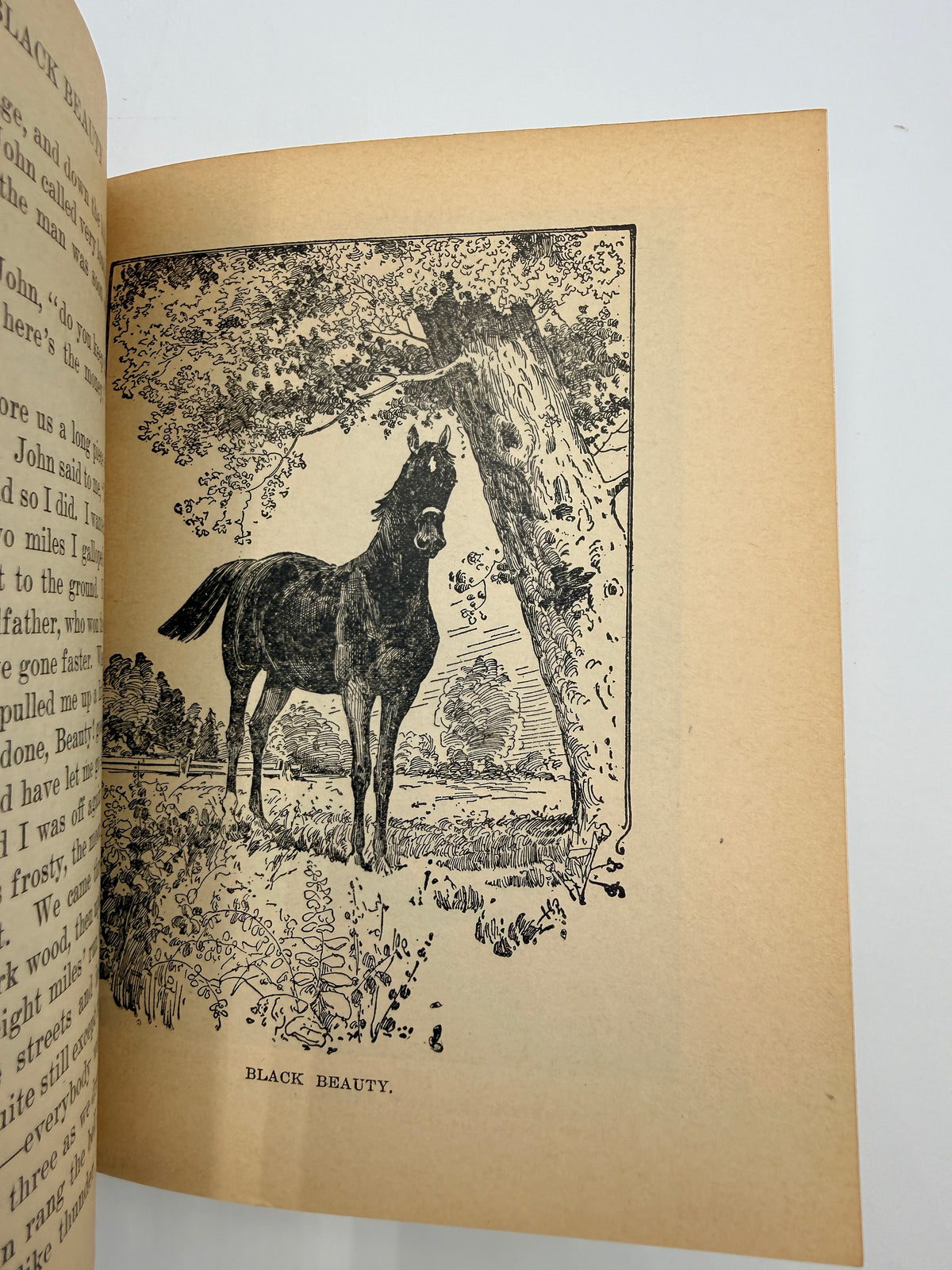 Antique Book Lot; Heber, Black Beauty,  Goethe & Others