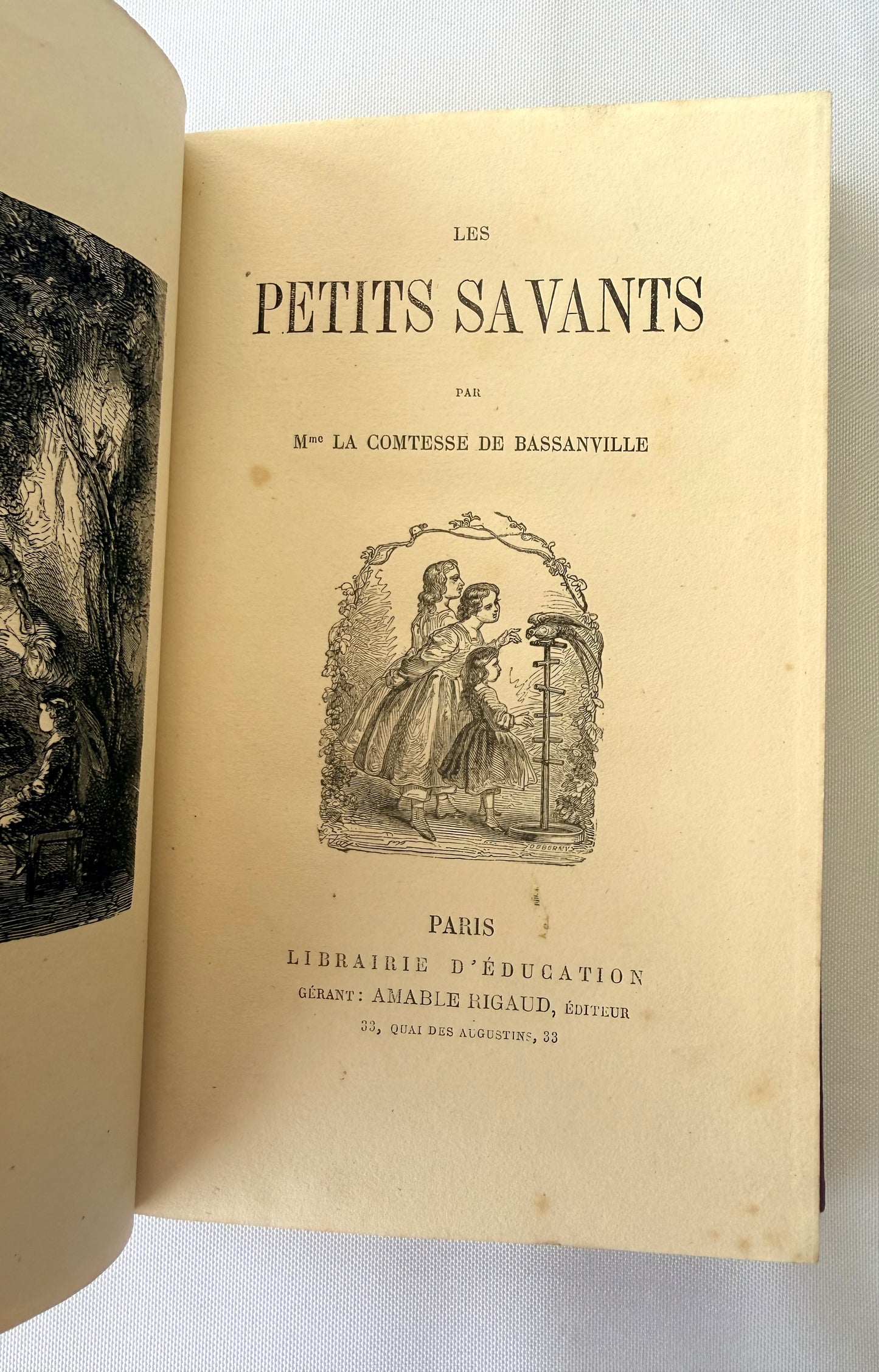 Purple French Cartonnage Book, Les Petits Savants