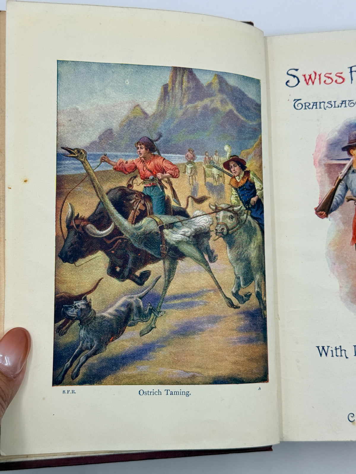 Swiss Family Robinson