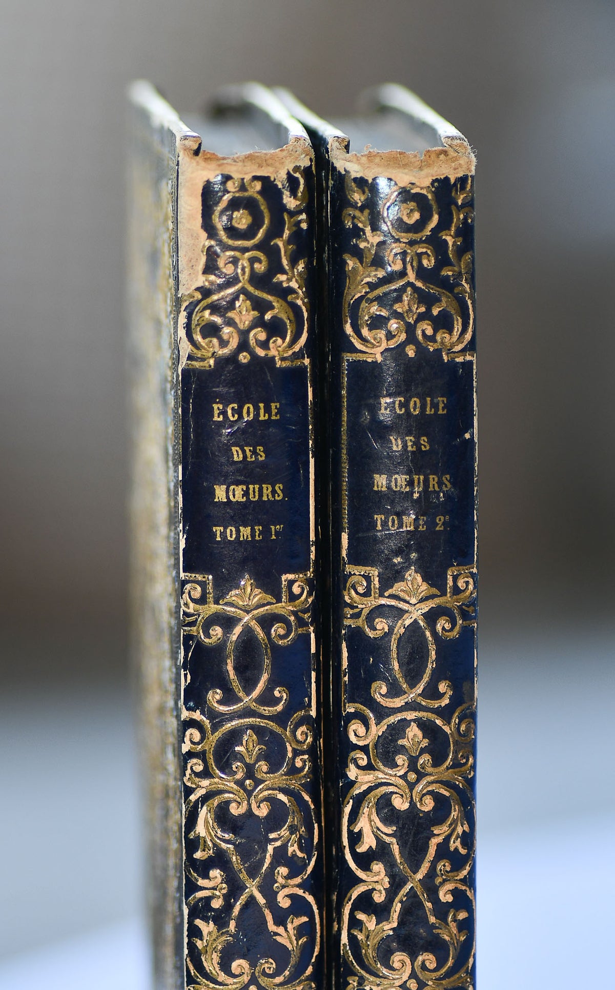 L'Ecole Des Moeurs by M Blanchard, French, Two Volumes