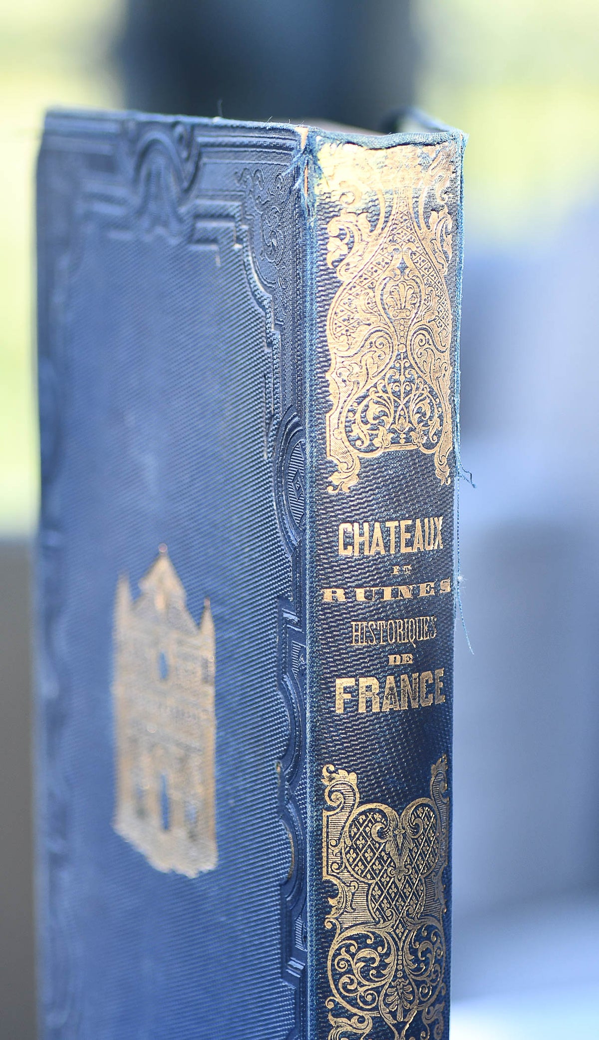 Chateaux et Ruines Historiques de France, 1845