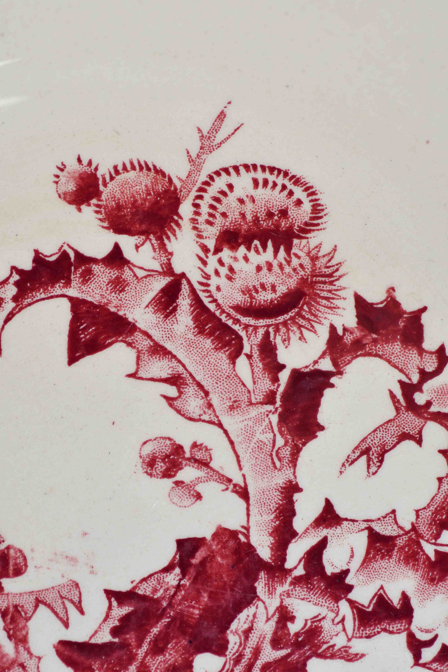 Red floral design on a white background