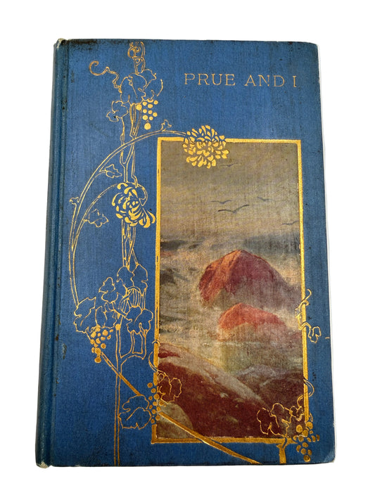 hardcover book titled 'PRUE AND I' with a blue cover, gold floral and vine illustrations, and a central landscape painting inset showing red hills under a cloudy sky.