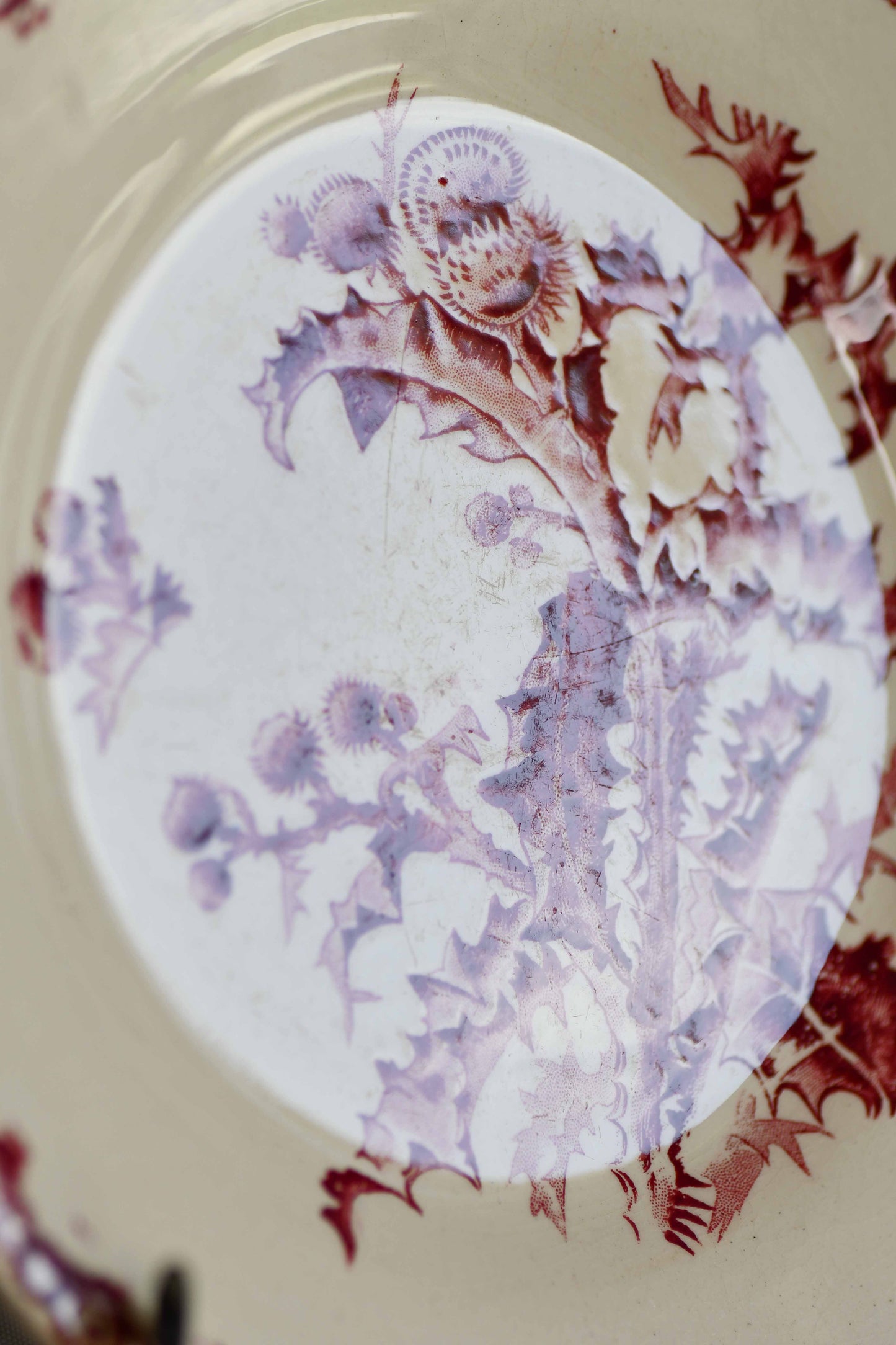 French Chardons Transferware Plate in Red, 8”