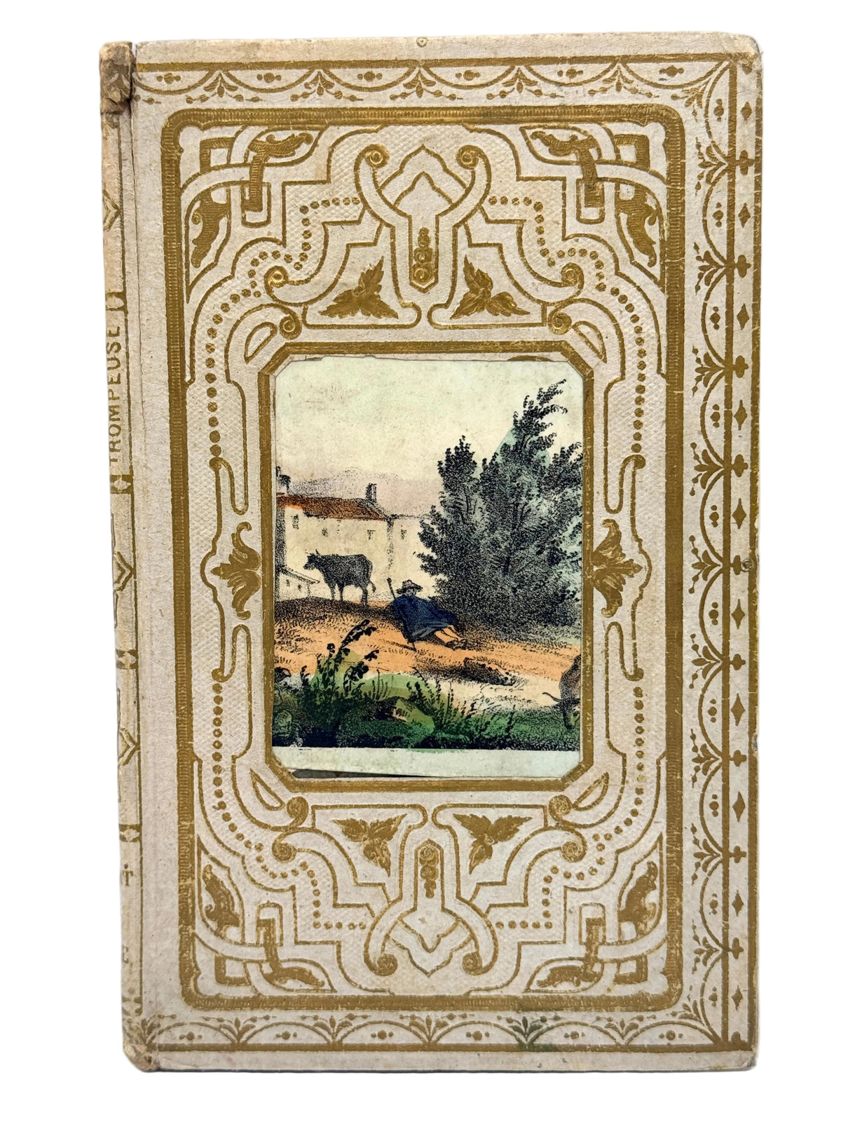 Vintage hardcover notebook or journal with an ornate beige and gold decorative border and a central landscape illustration, photographed against a plain white background.