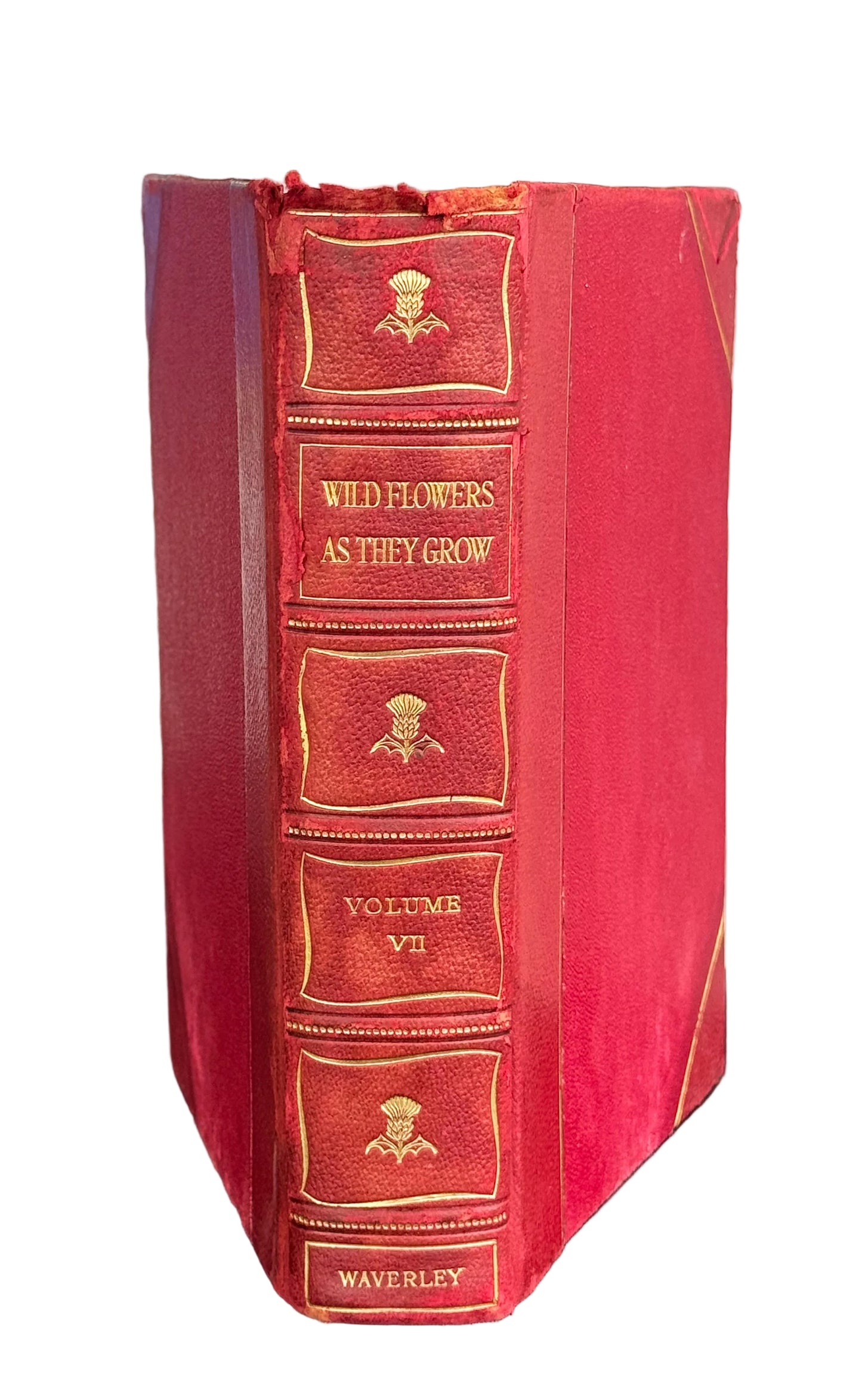 Red leather-bound book titled 'Wild Flowers as They Grow Volume VII' on a dark surface with a blurred outdoor background.