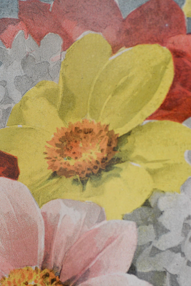 Paul de Longpre Still Life Watercolor, 1898