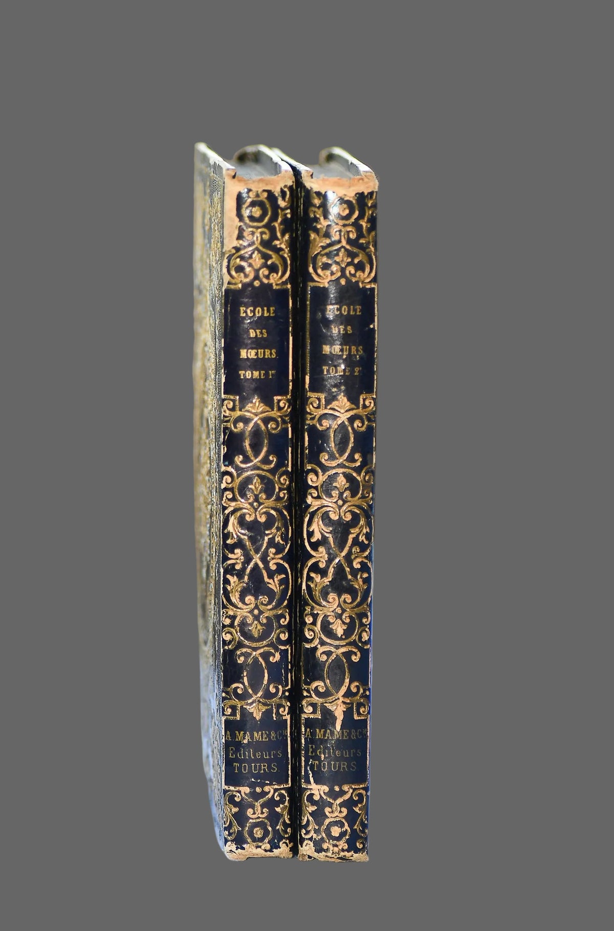 L'Ecole Des Moeurs by M Blanchard, French, Two Volumes